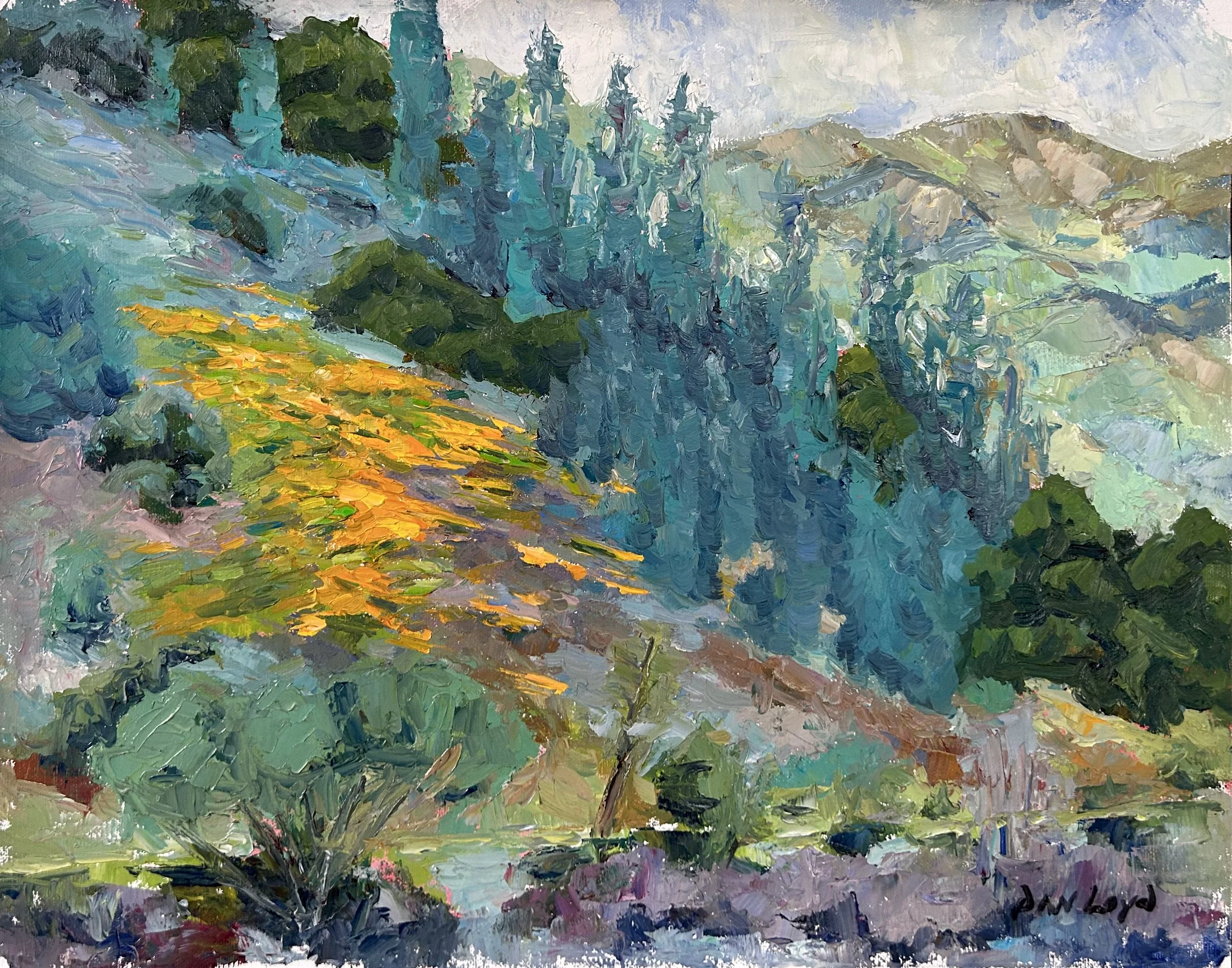 Poppy hillside just outside Yosemite