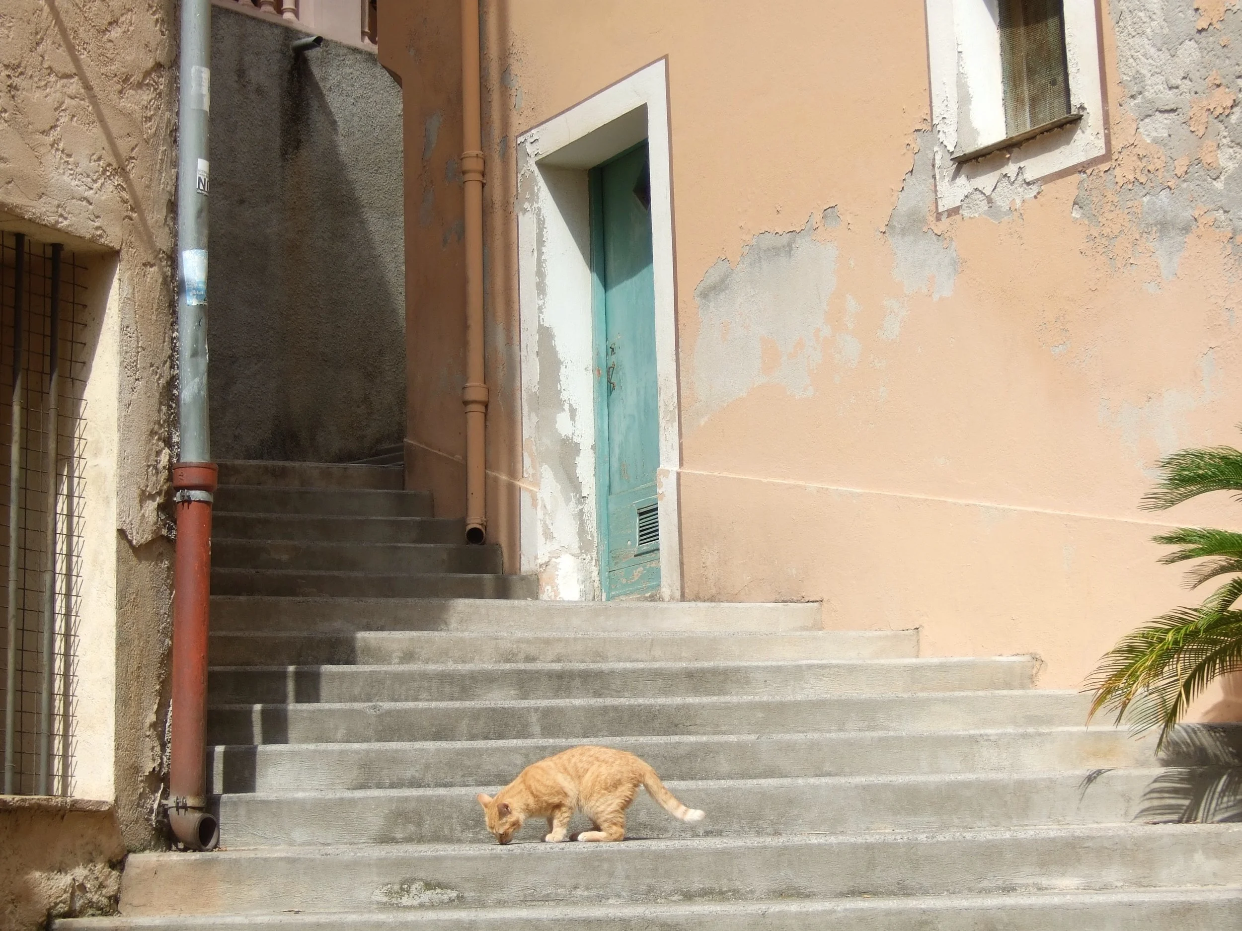 Ville Franche