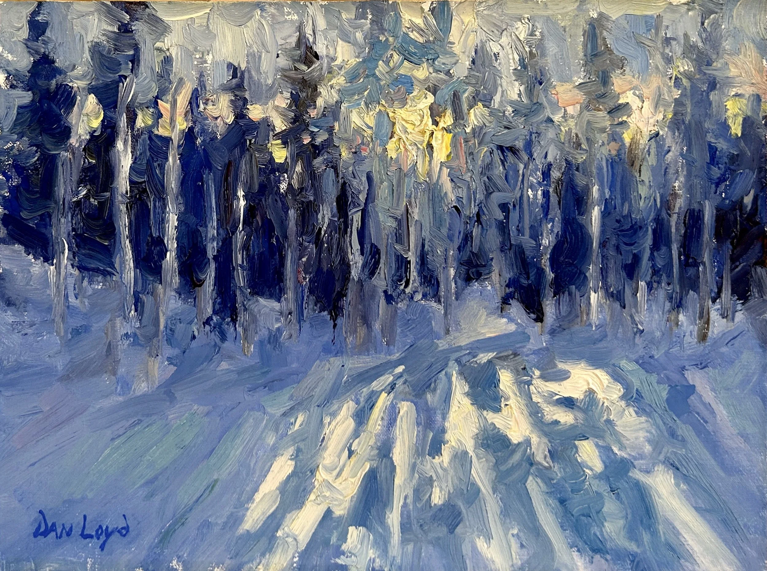 Snowy forest in Taos New Mexico