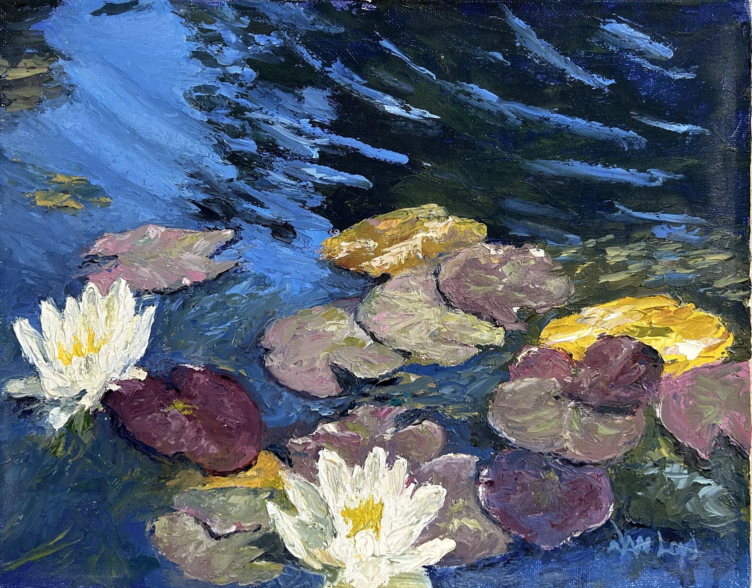 Water lilies on a pond In Santa Barbara CA