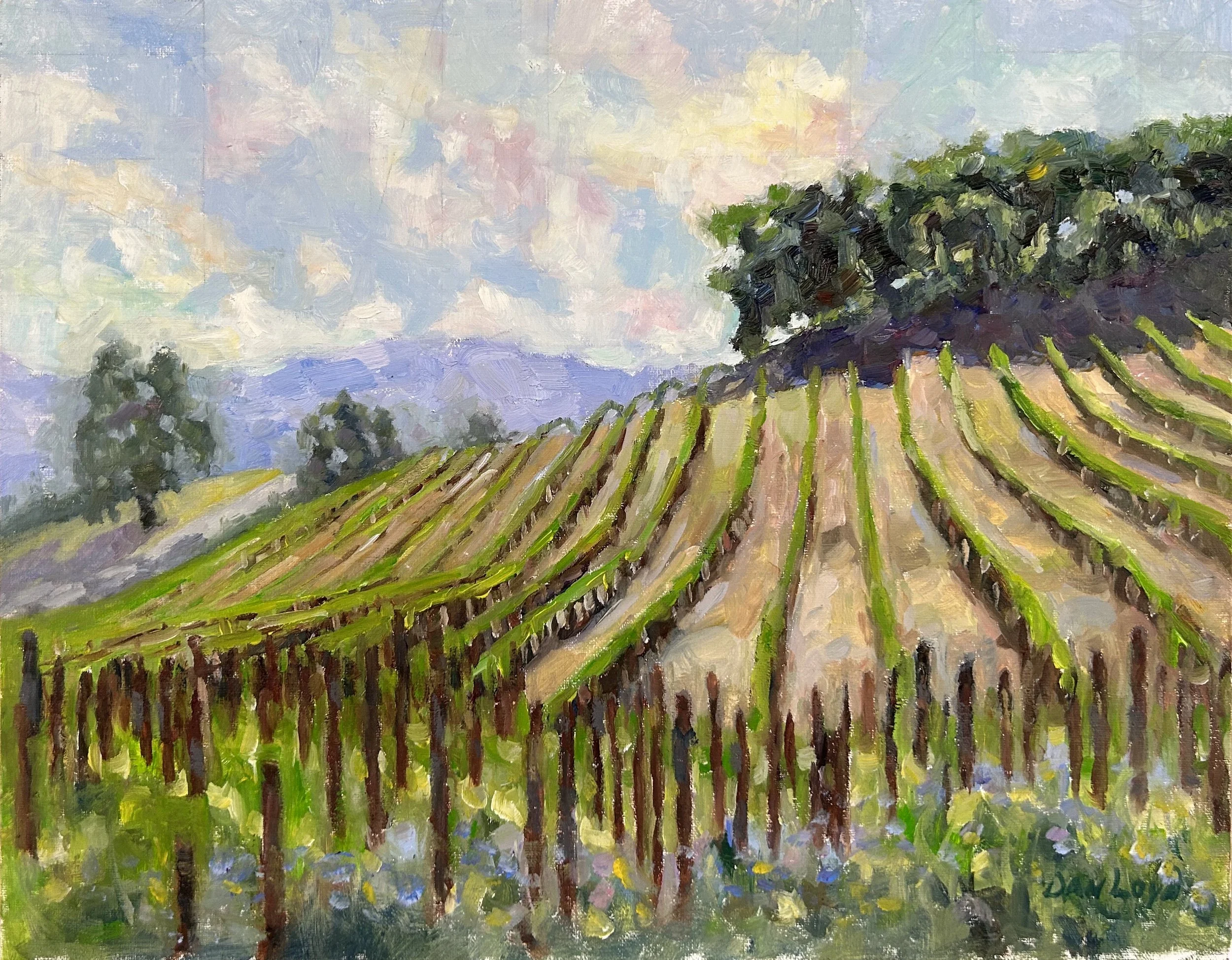Vineyard in Napa CA