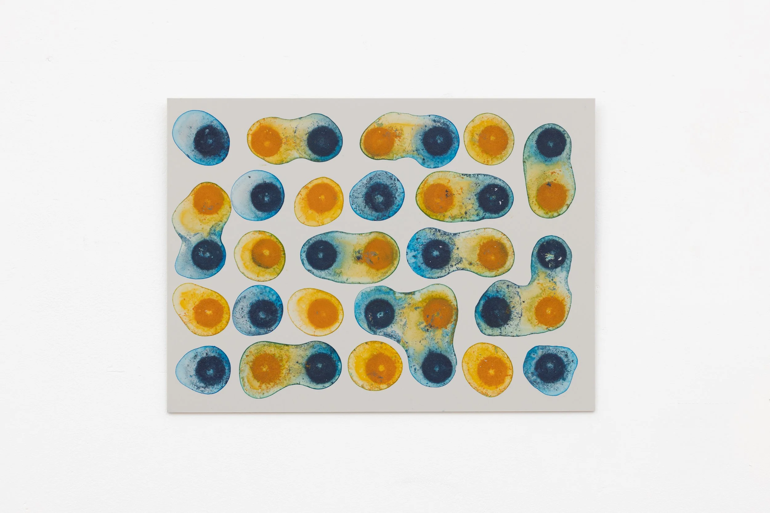 5 x 7 Aligned / Alternating
Blue / Yellow
Acrylic on Cast Perspex
22 x 30cm
2024