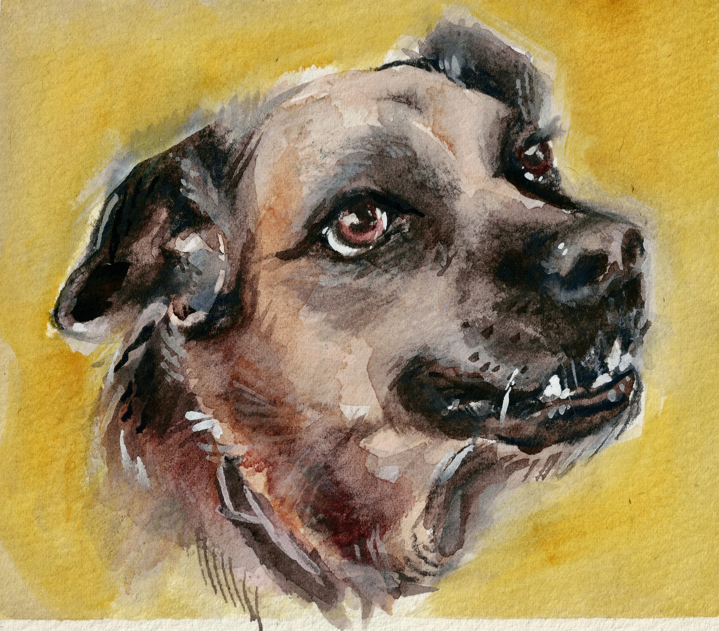 SIMON, watercolor & gouache, 2025