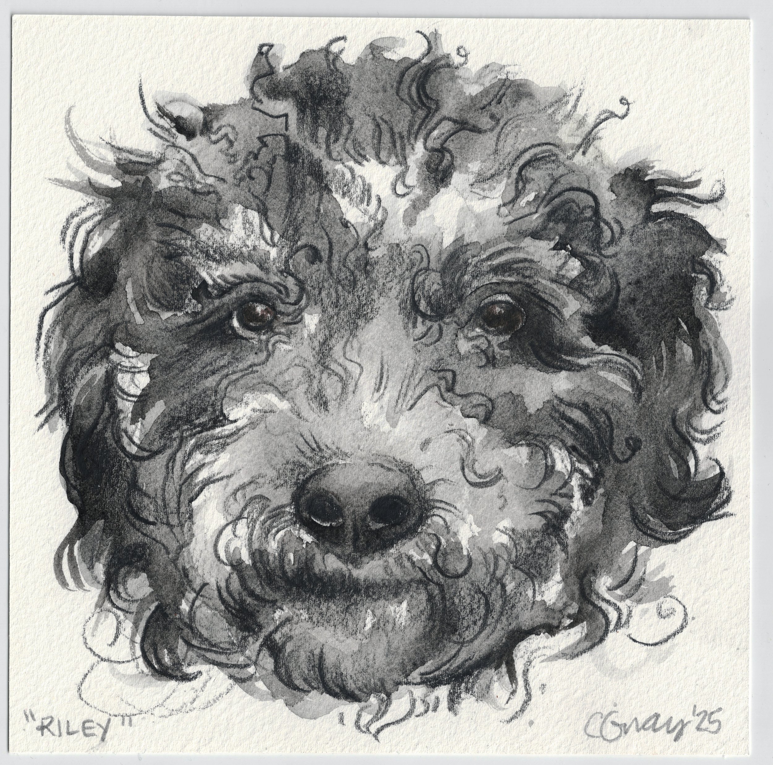 RILEY, watercolor pencil, 2025