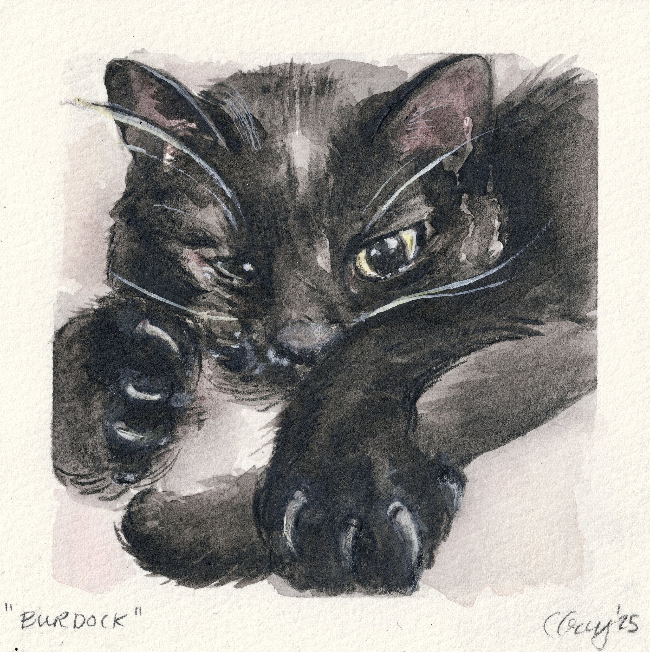 BURDOCK, watercolor & gouache, 2025