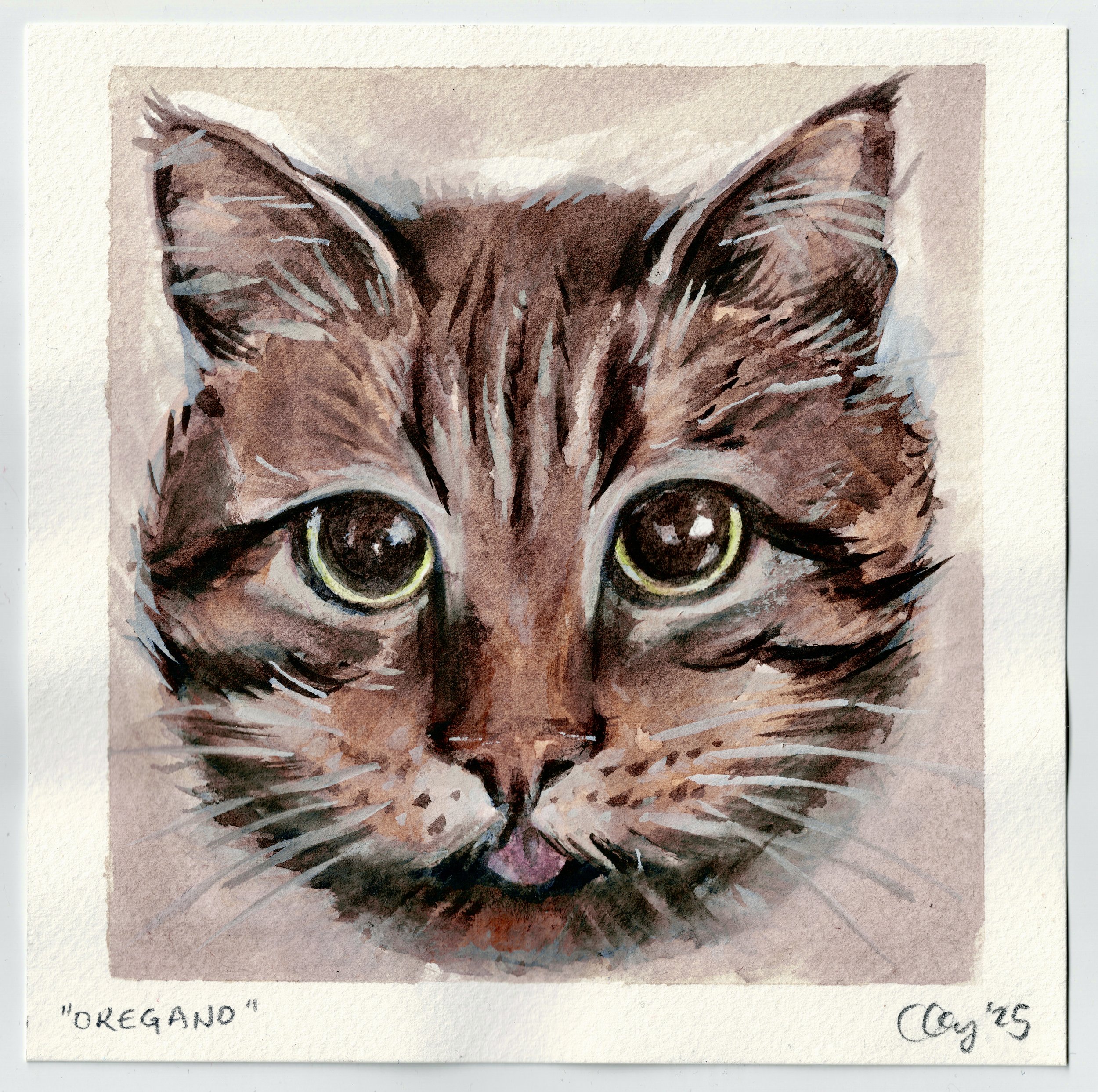"Oregano," watercolor & gouache, 2025