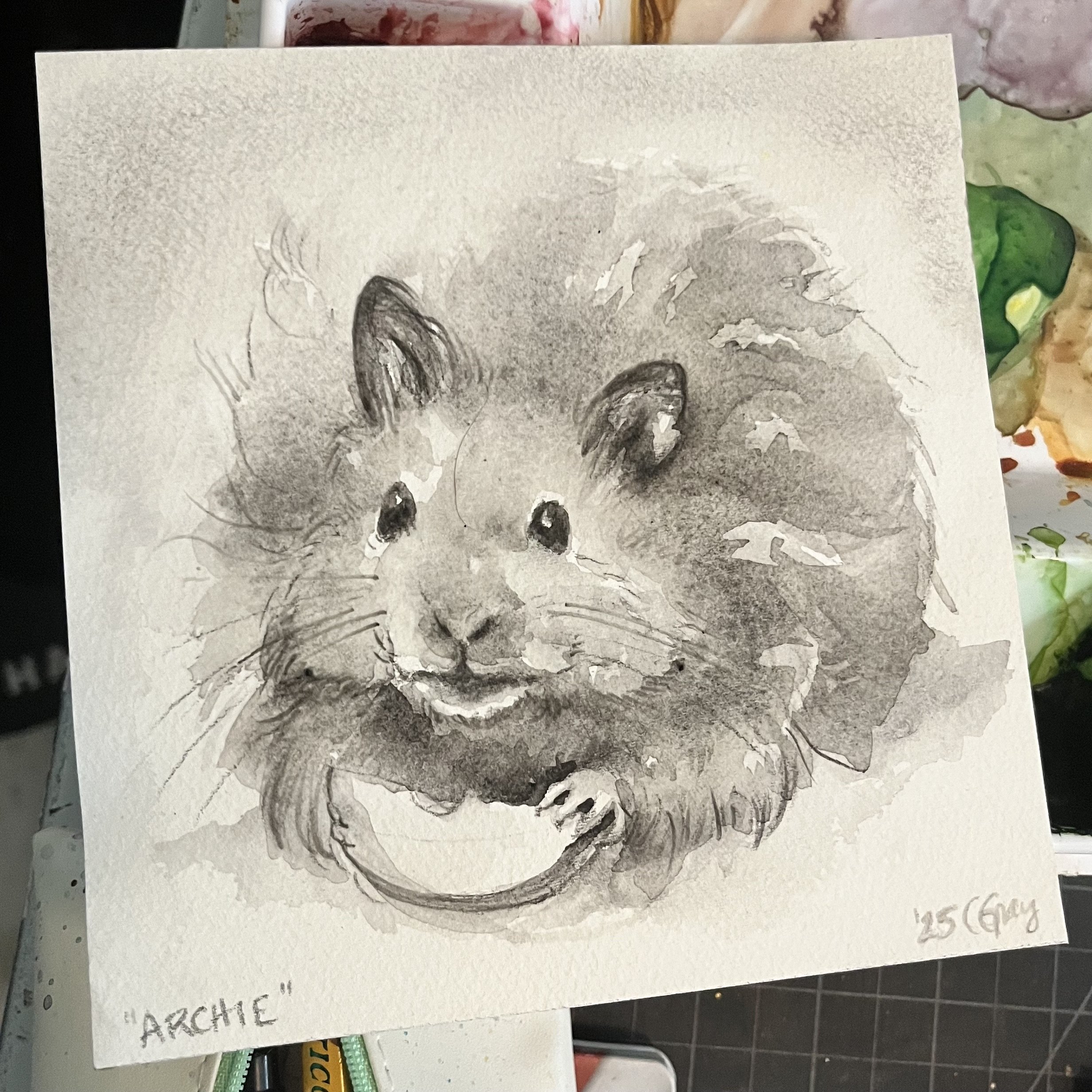 ARCHIE, watercolor, 2025