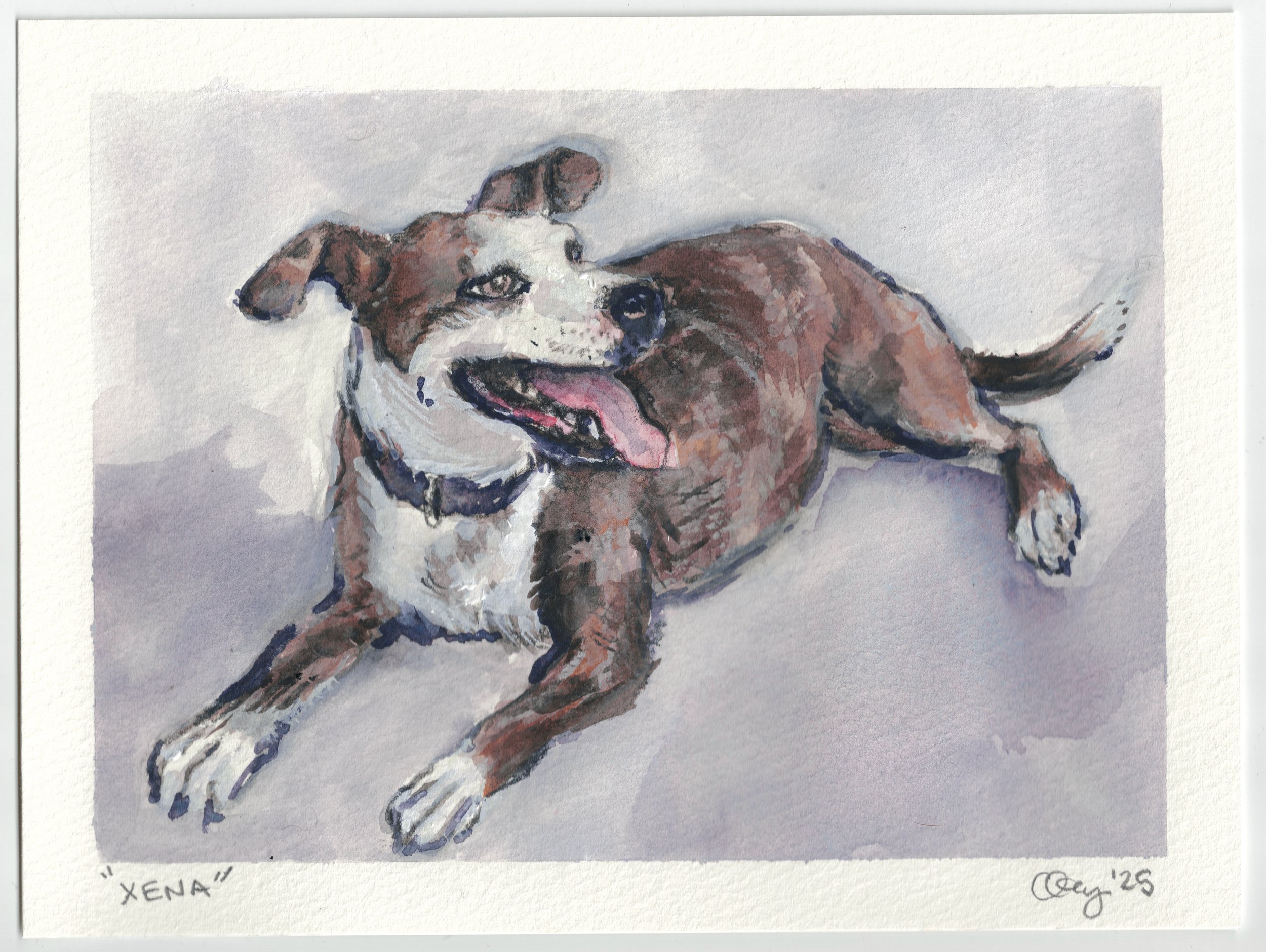 XENA, watercolor & gouache, 2025