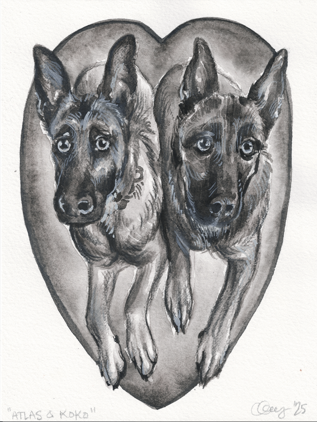 ATLAS & KOKO (B&W), watercolor & gouache, 2025