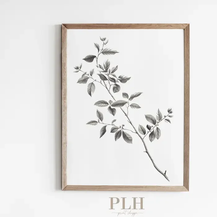 Botanical Branch Art Print