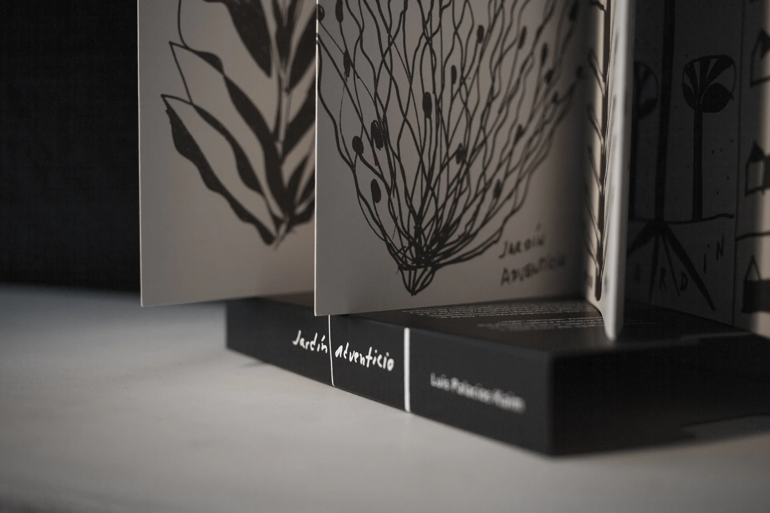 Un Jardín Adventicio libro de arte y diseño editorial mexicano por Luis Palacios Kaim