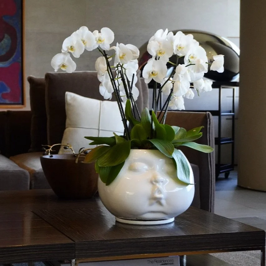 Dise&ntilde;ada por Emma Ampudia, esta maceta escult&oacute;rica fusiona arte japon&eacute;s ancestral y dise&ntilde;o mexicano contempor&aacute;neo. Una pieza que refleja serenidad, equilibrio y pasi&oacute;n por el dise&ntilde;o. 

&iquest;Ya conoc