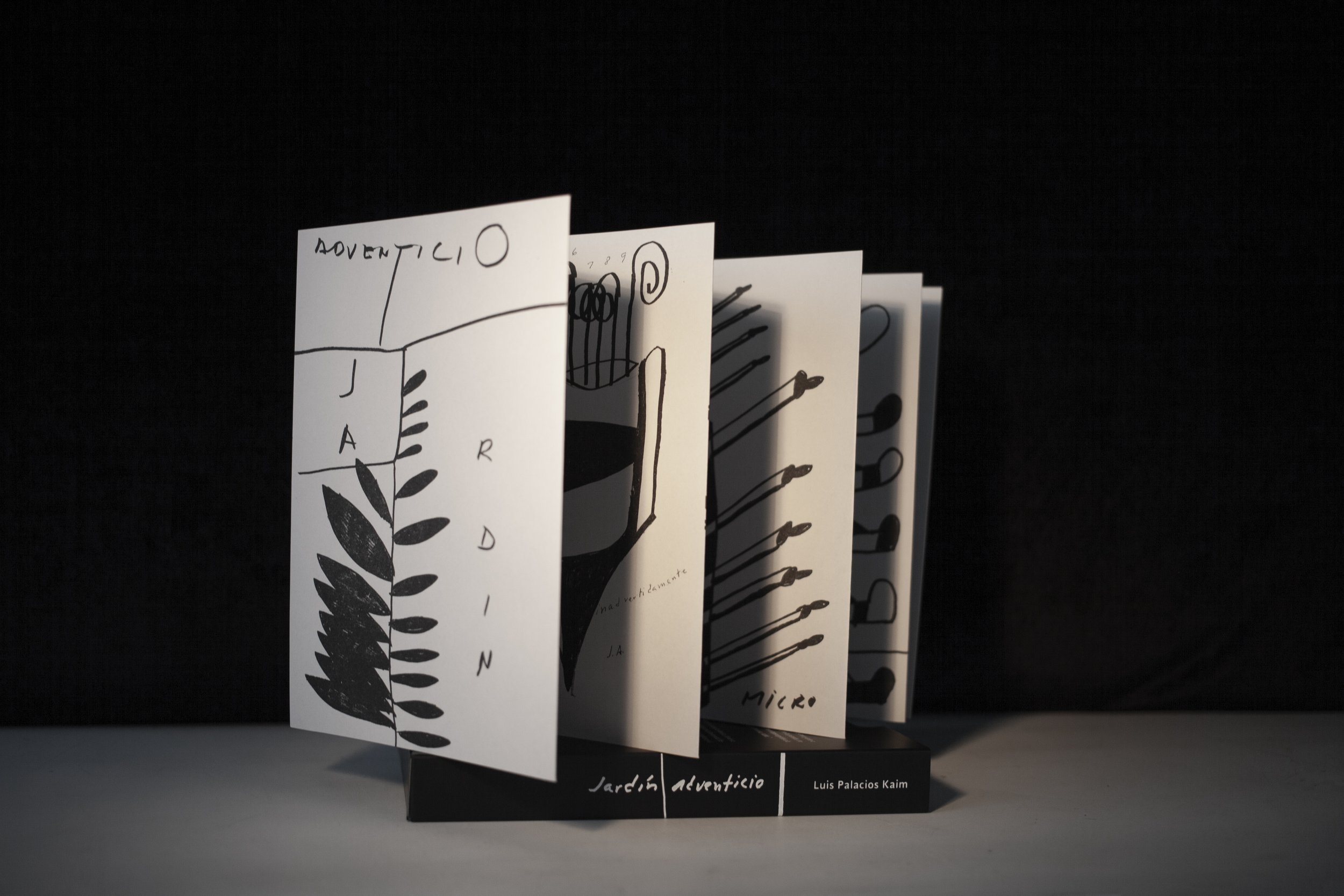 Un Jardín Adventicio libro de arte y diseño editorial mexicano por Luis Palacios Kaim