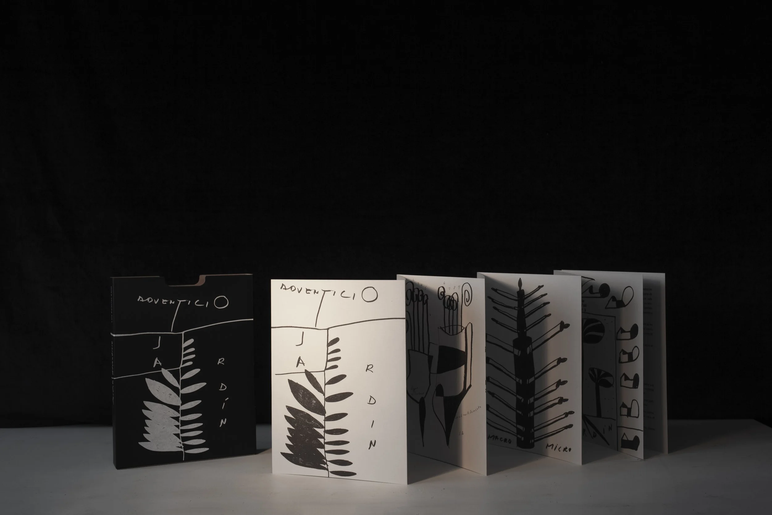 Un Jardín Adventicio libro de arte y diseño editorial mexicano por Luis Palacios Kaim