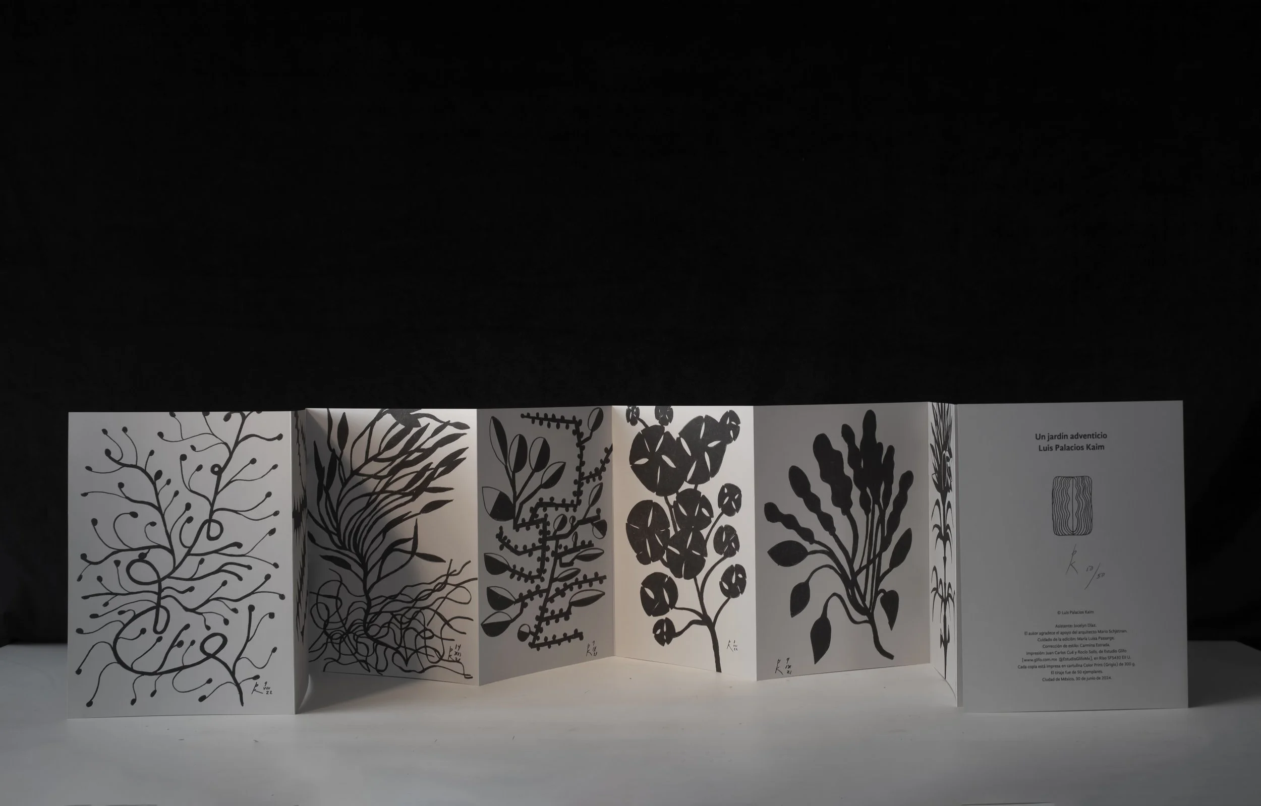 Un Jardín Adventicio libro de arte y diseño editorial mexicano por Luis Palacios Kaim