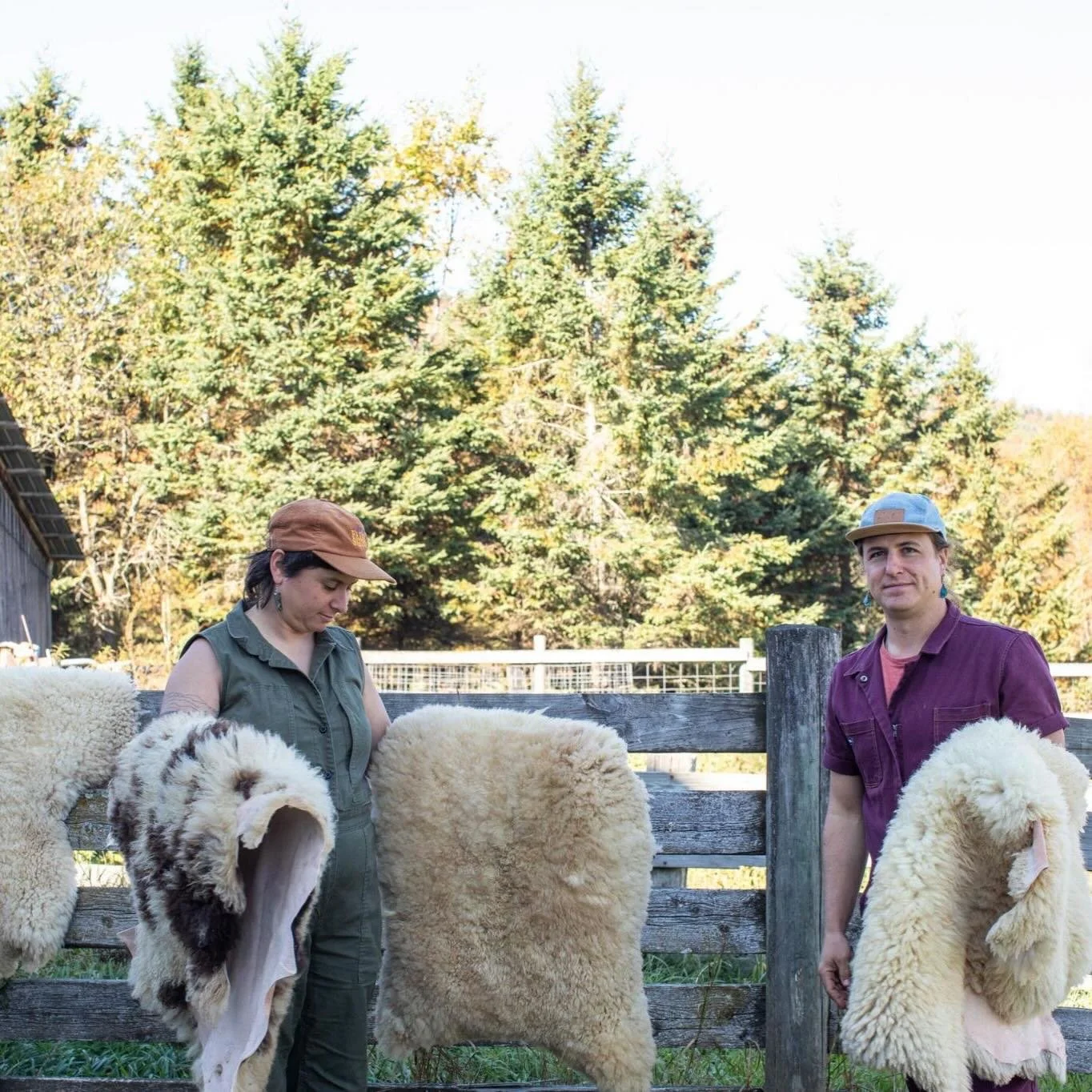 It&rsquo;s cold out! These sheepskins will keep you warm and cozy! We&rsquo;ve only got a couple left this season, come and pick one out tomorrow at the Winter Queer Craft Fair! 

Photo taken during warmer days.