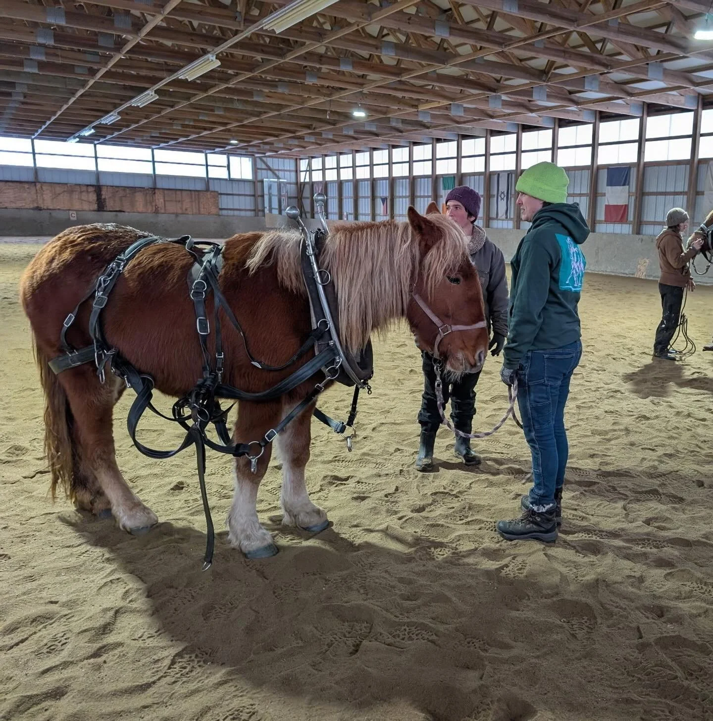 Building toward futures we create and imagine. Building and creating lots this winter as we continue to build community, share knowledge, and dream of futures where all people are free.