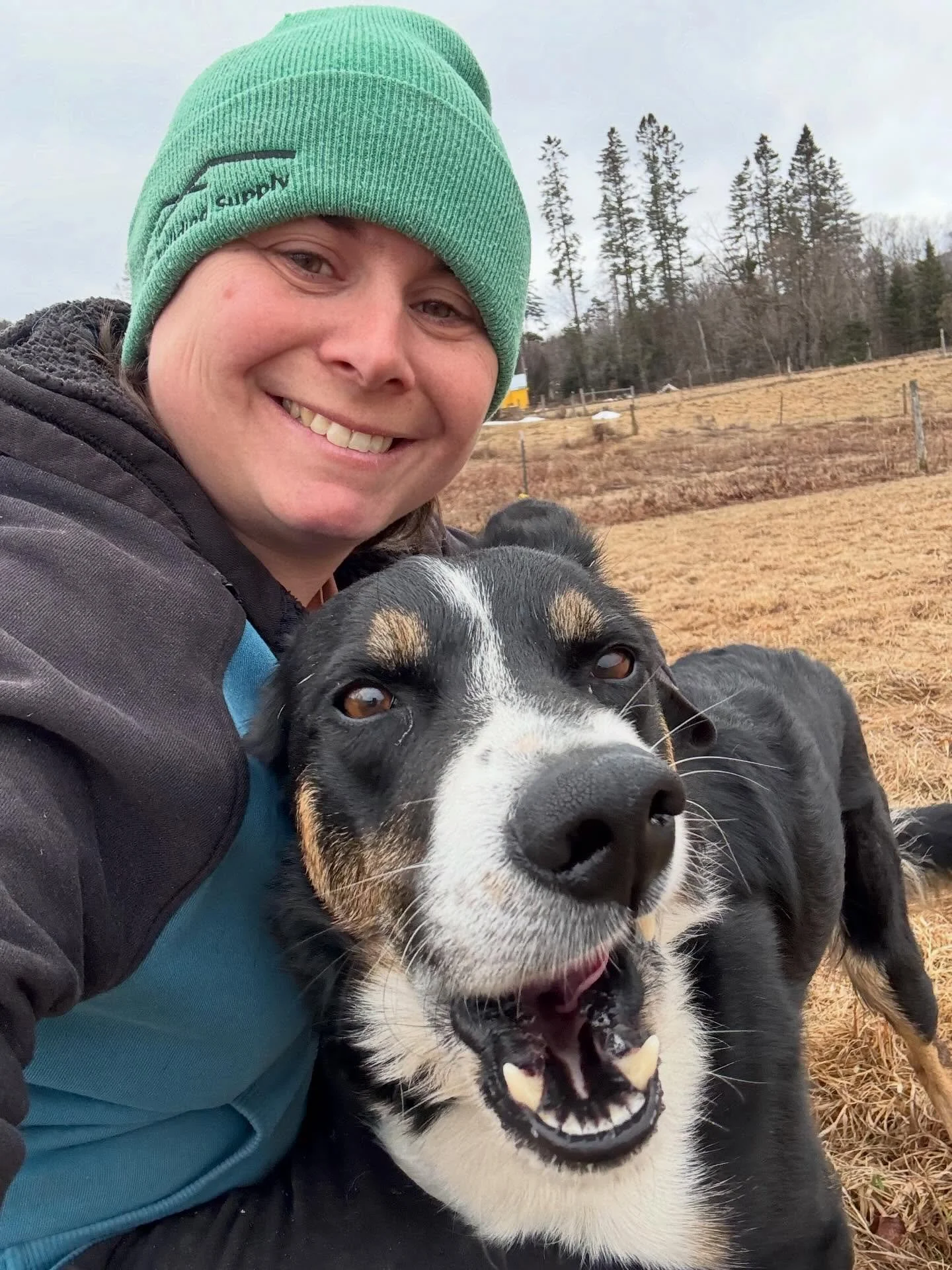 There&rsquo;s been a lot of dog shifts recently around our farm. Welcome to dock! We are so lucky and grateful to Michelle for rehoming her dog of 6 years to us. He is trained on sheep and an all around sweetheart! 

It wasn&rsquo;t a straight forwar