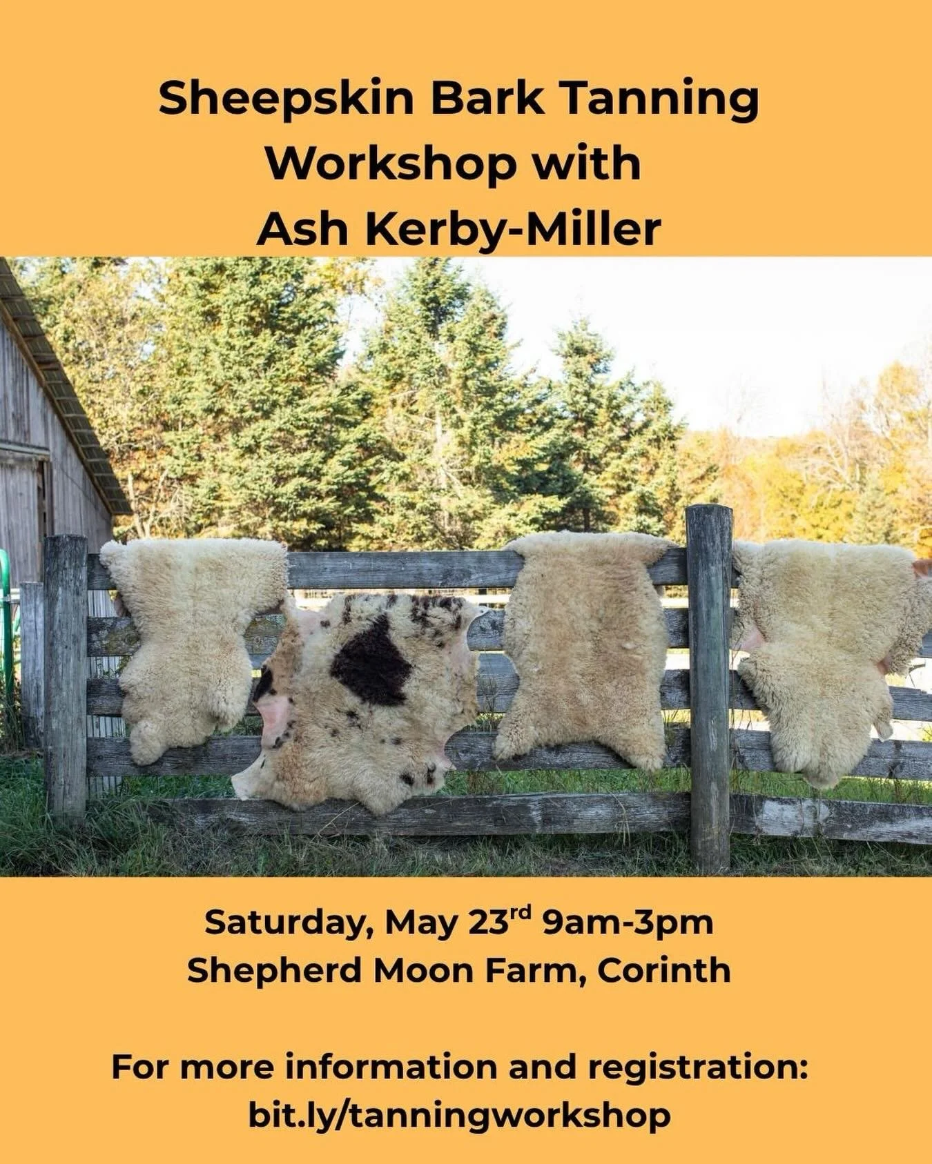 Sheepskin Bark Tanning Workshop with Ash Kerby-Miller
Shepherd Moon Farm, Corinth, Vermont 

In this one day workshop, we&rsquo;ll learn how to use bark (or vegetable) tanning &ndash; a traditional, organic technique &ndash; to transform raw sheep hi