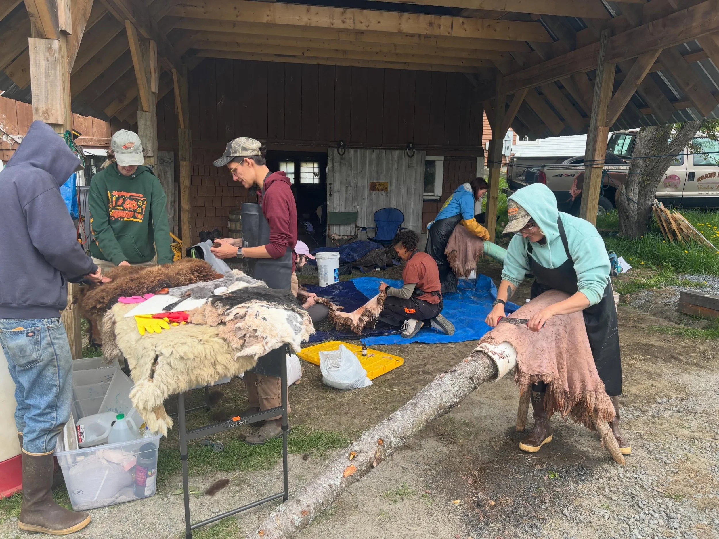 Thank you Ash and all the participants for such a wonderful Hide Tanning Workshop! Sometimes you have to marvel at the magic and sometimes you gotta learn to make the magic!