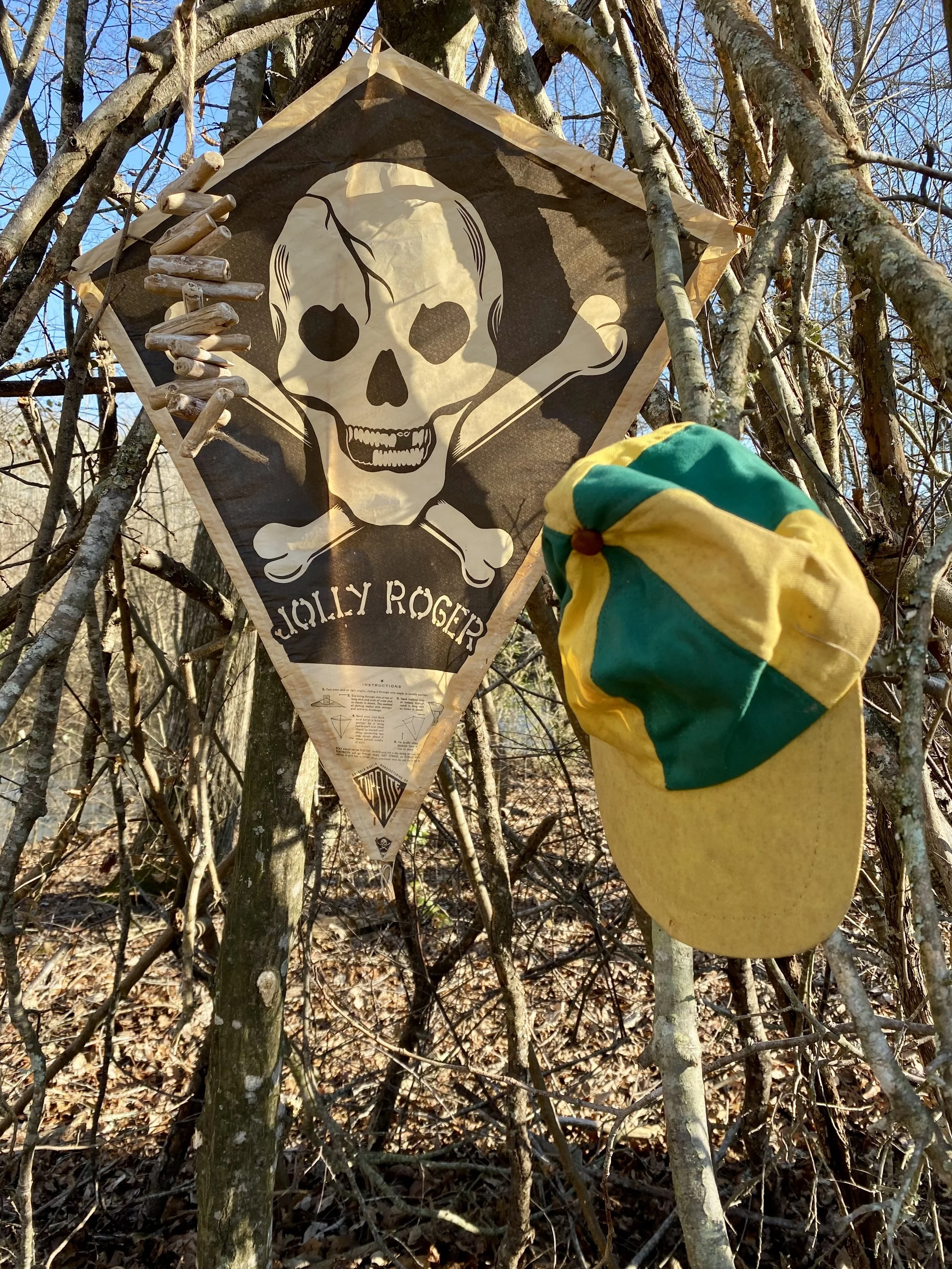 A pirate-themed kite with a skull and crossbones design, labeled "Jolly Roger," hangs in a tree next to a green and yellow cap.