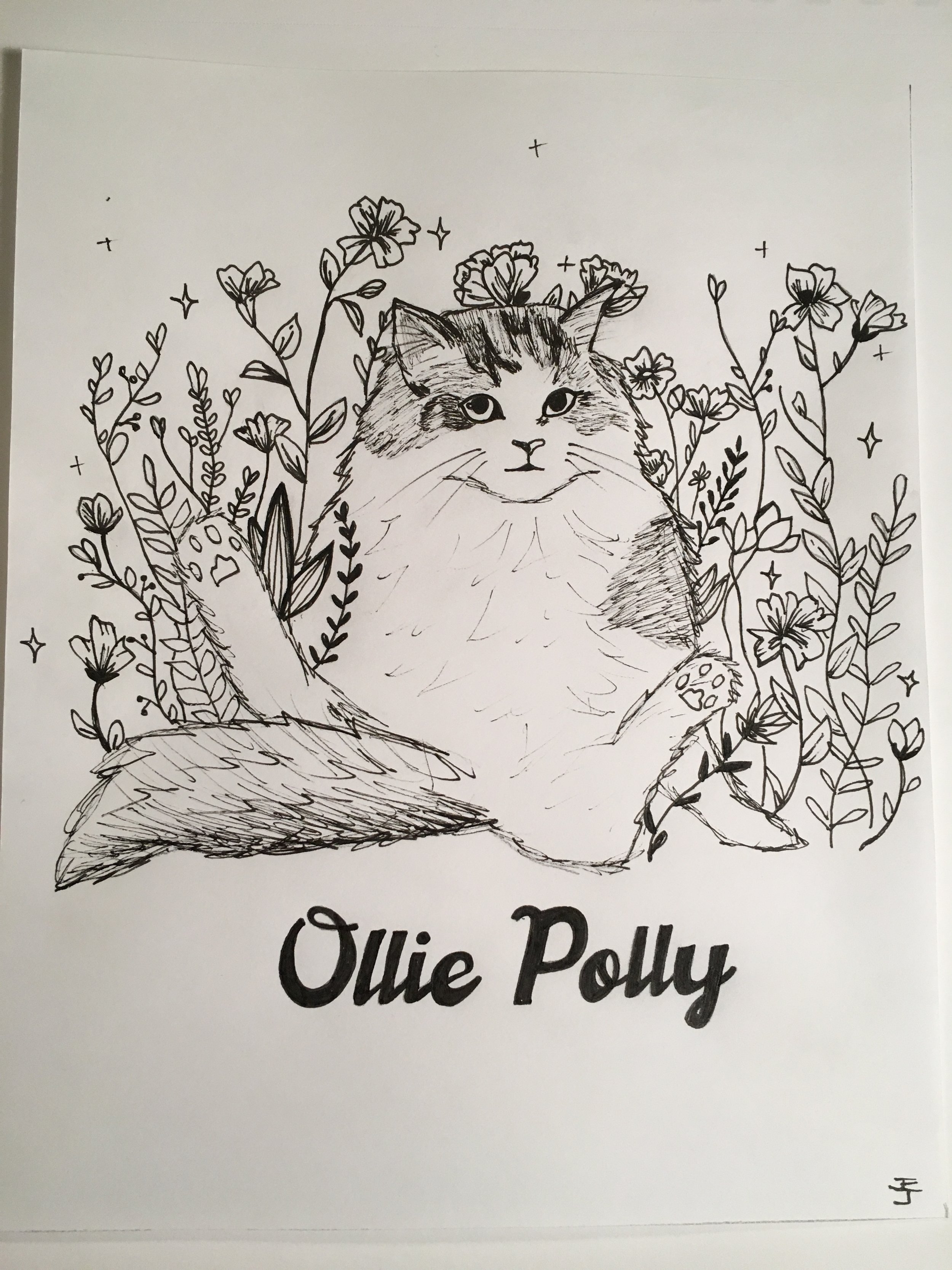Illustration of a fluffy cat sitting among flowers with the text "Ollie Polly" below.