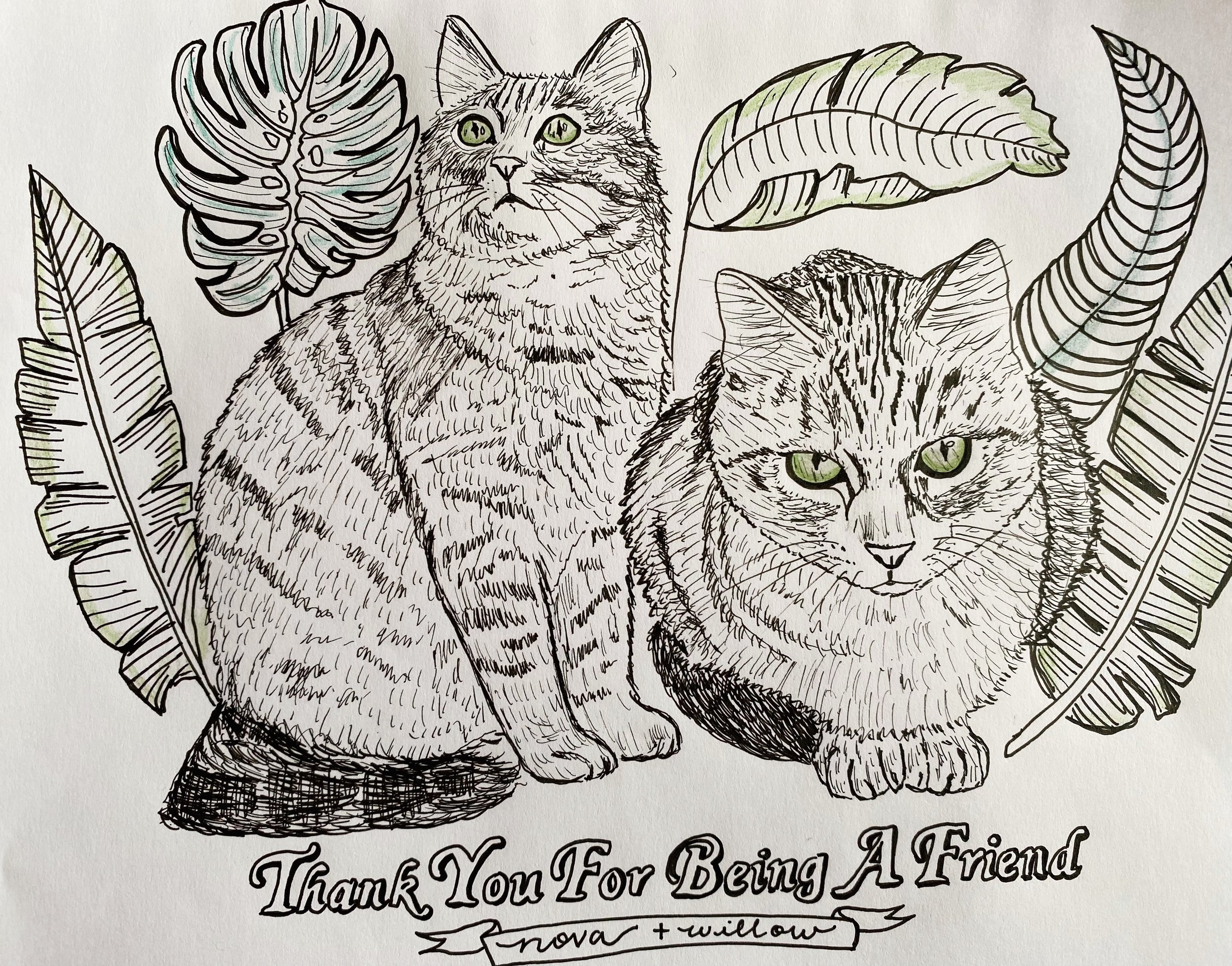 Illustration of two tabby cats with green eyes, surrounded by tropical leaves. Text reads 'Thank You For Being A Friend' with the names "nova + willow."
