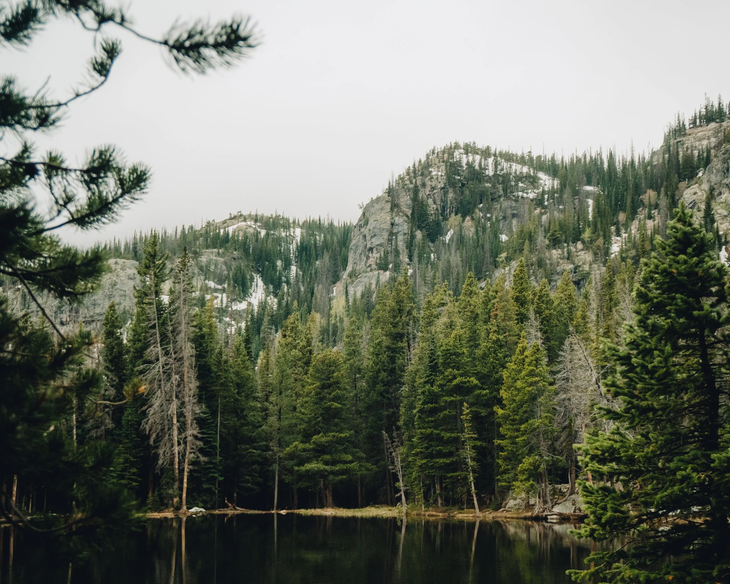 Winter Clearing, Rocky Mountain National Park