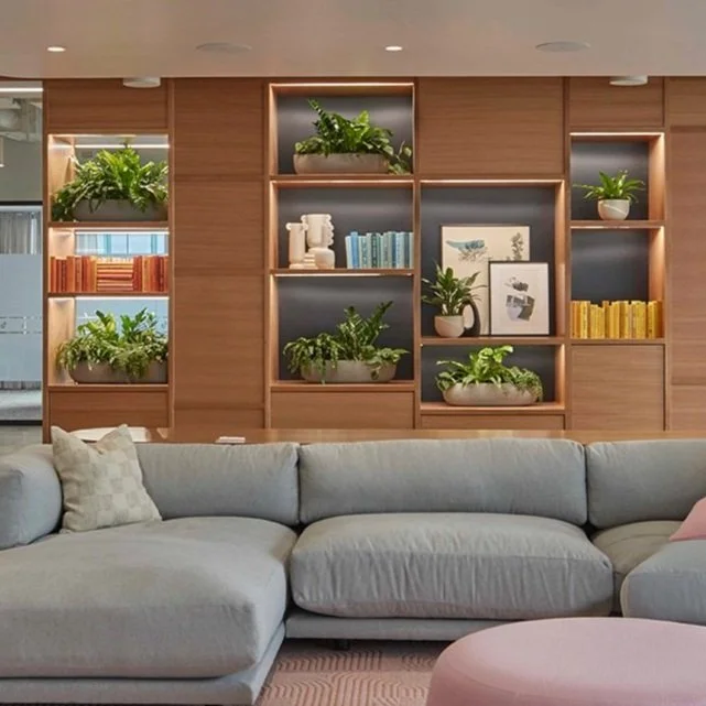 Bellevue Tech company - Grow Together