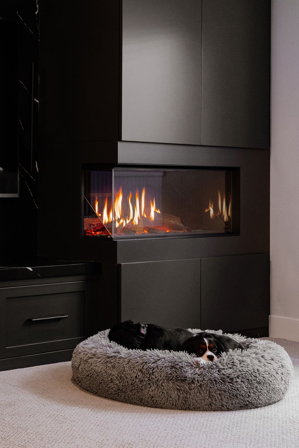 Two dogs resting on a dog bed in front of a modern fireplace with dark cabinetry, creating a cozy, calm living space.