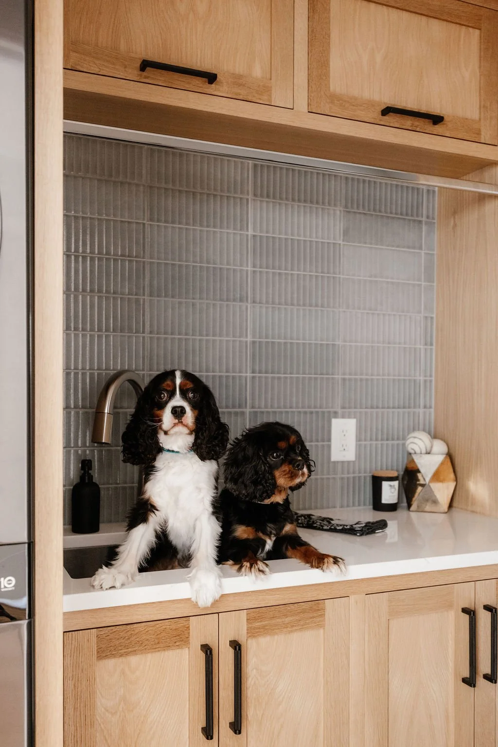 Small modern laundry room Rift white oak cabinetry to the ceiling, deep utility sink, white quartz countertop, black and stainless accents.  King Charles Cavalier dogs Otis and Bernie sit in the sink and pose for a photo.