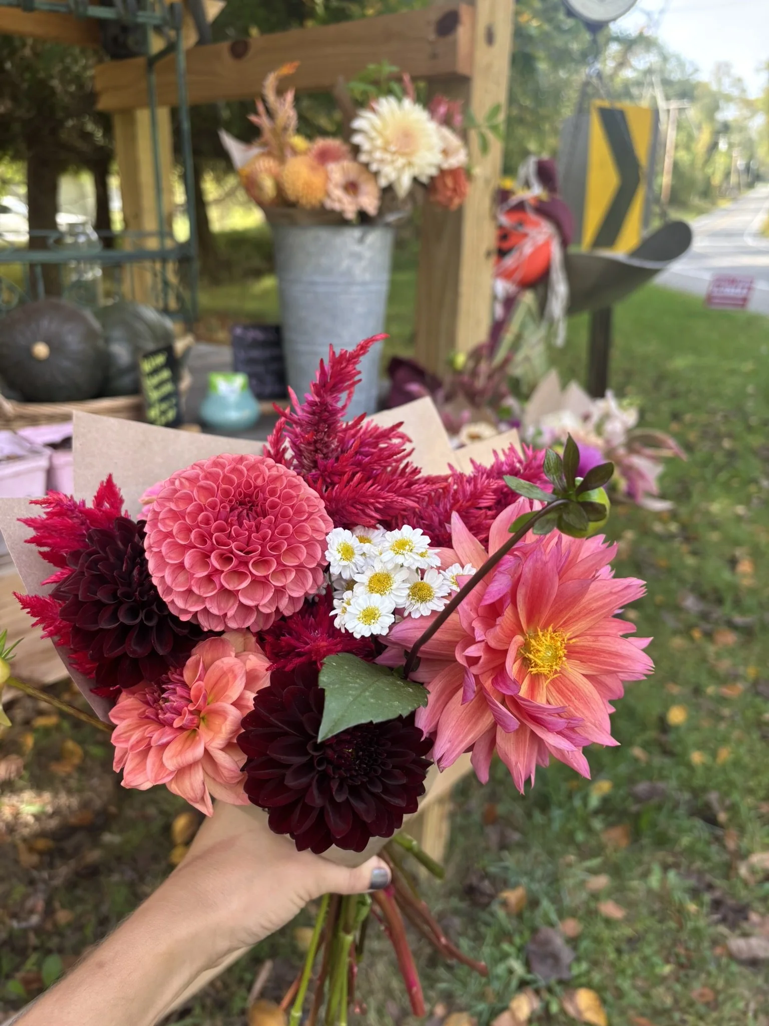 A hand holding a bouquet of colorful flowers including pink dahlias, white daisies, and dark red dahlias in front of a flower stand outdoors.