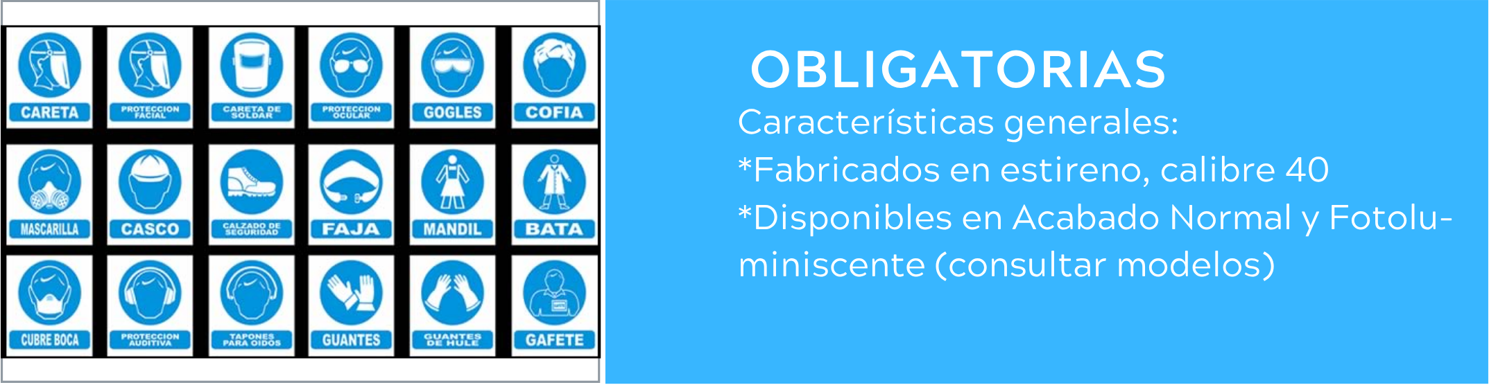 PROCIE 2024 CATALOGO.png