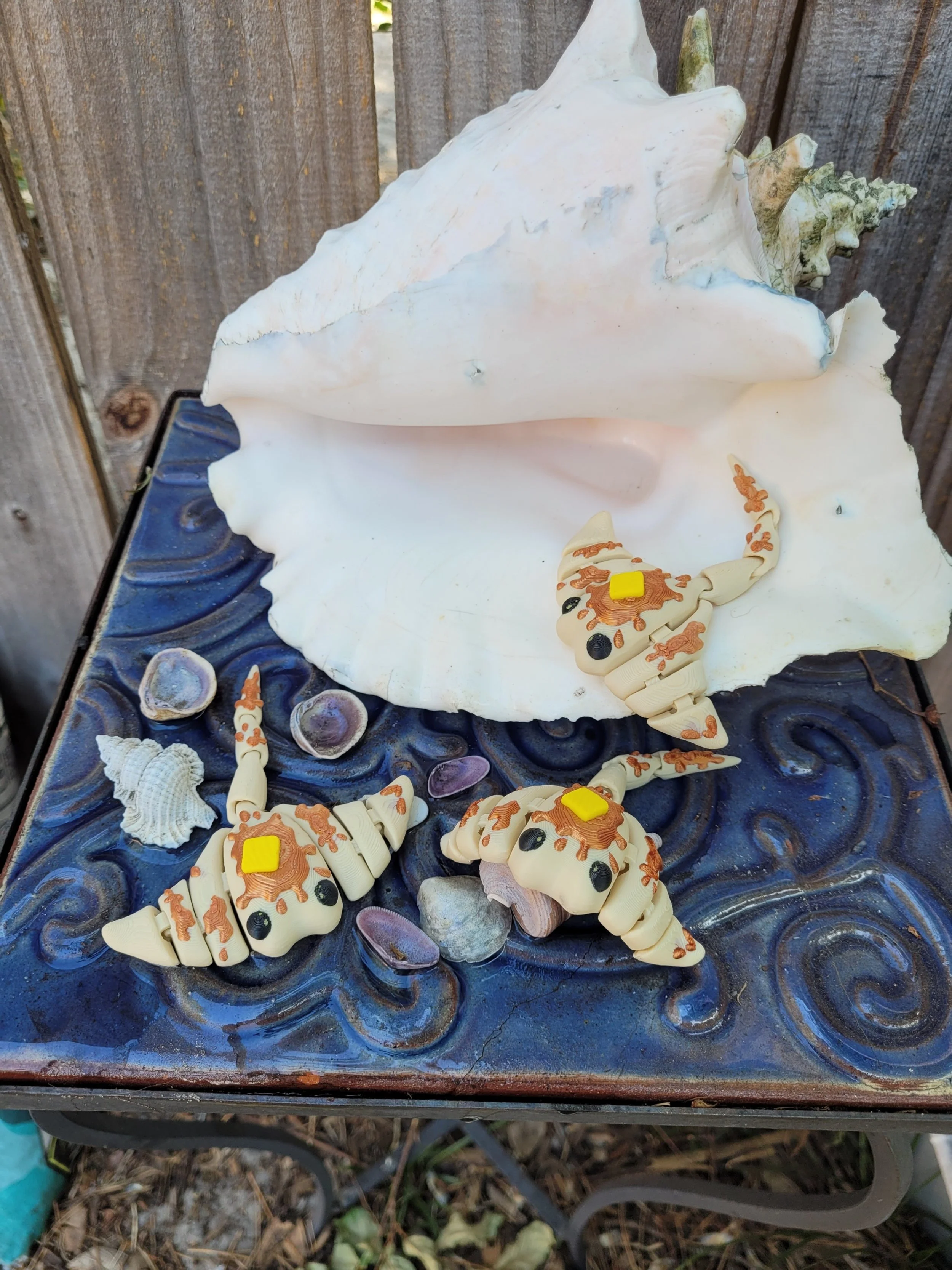 flappyjack stingrays