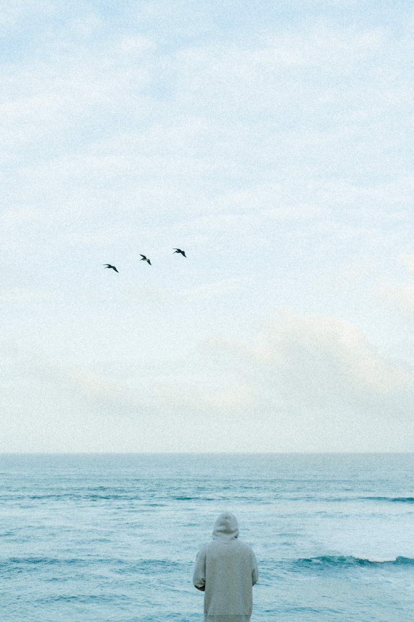 A7R09971 Large.png