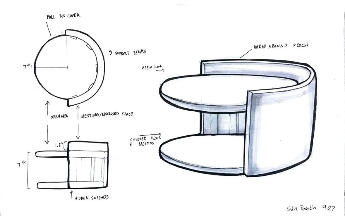 first+circle+concept.jpg