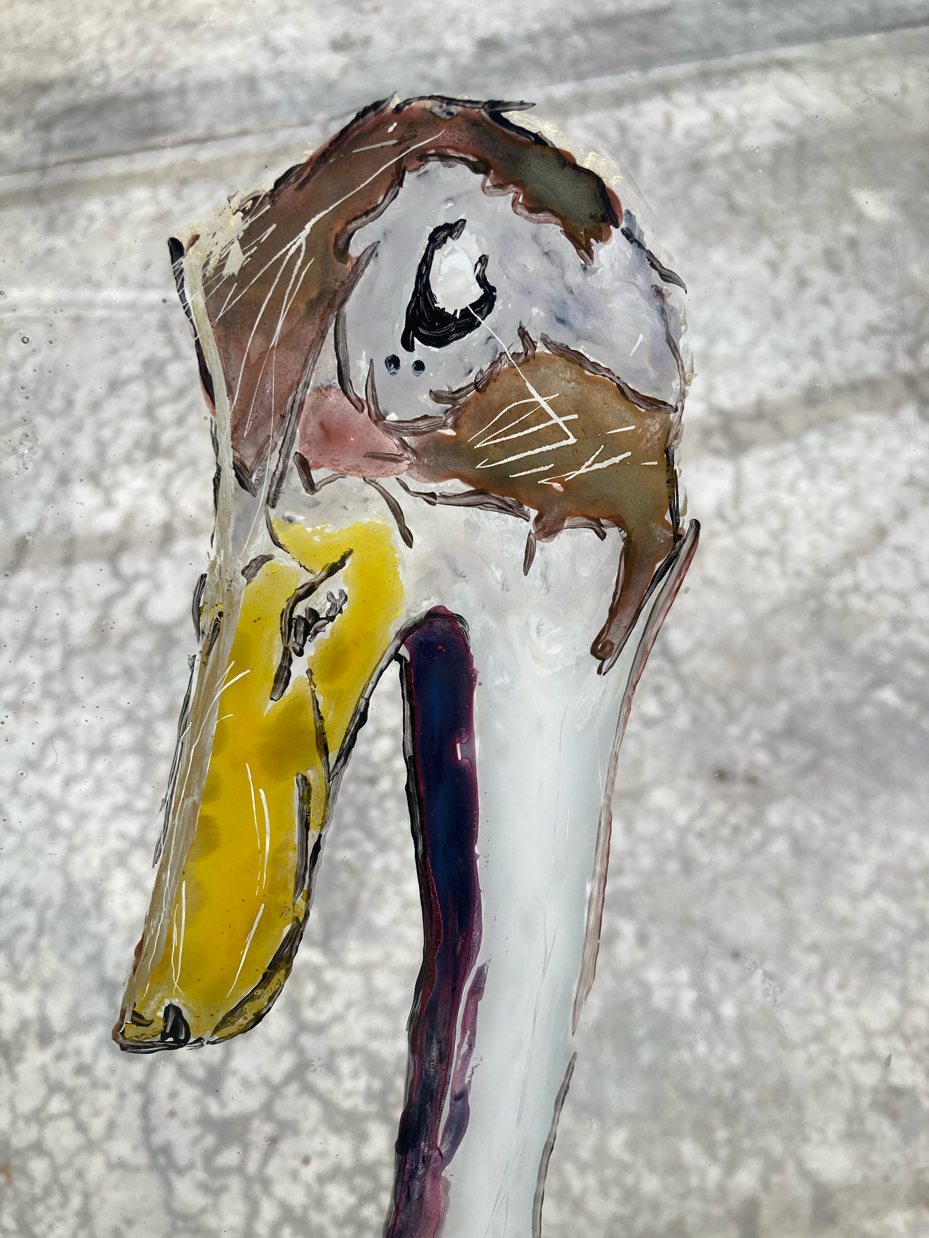 Glass Duck