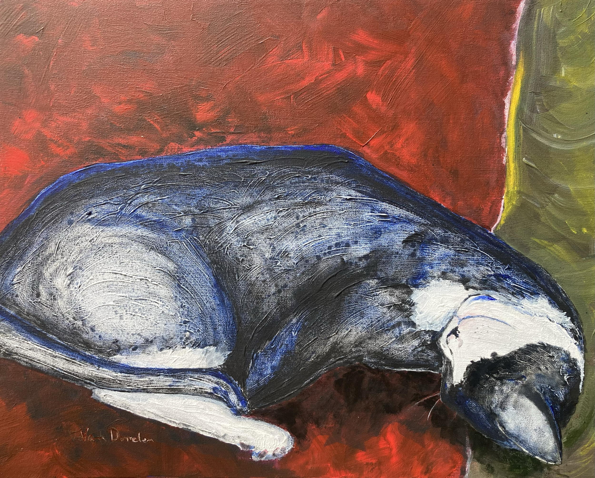 Curled sleeping tuxedo cat with painted with highly textured fur, blue-black and white against deep garnet and green background