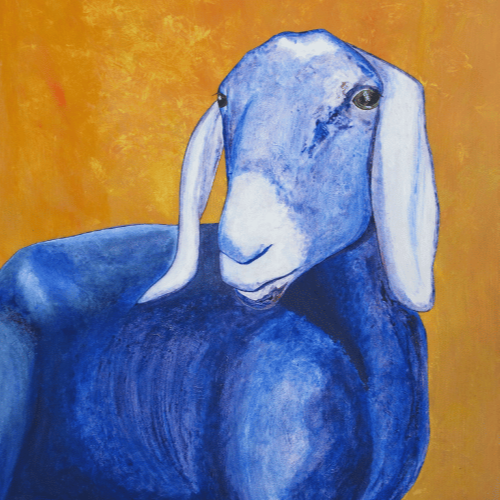 Blue Goat Collection