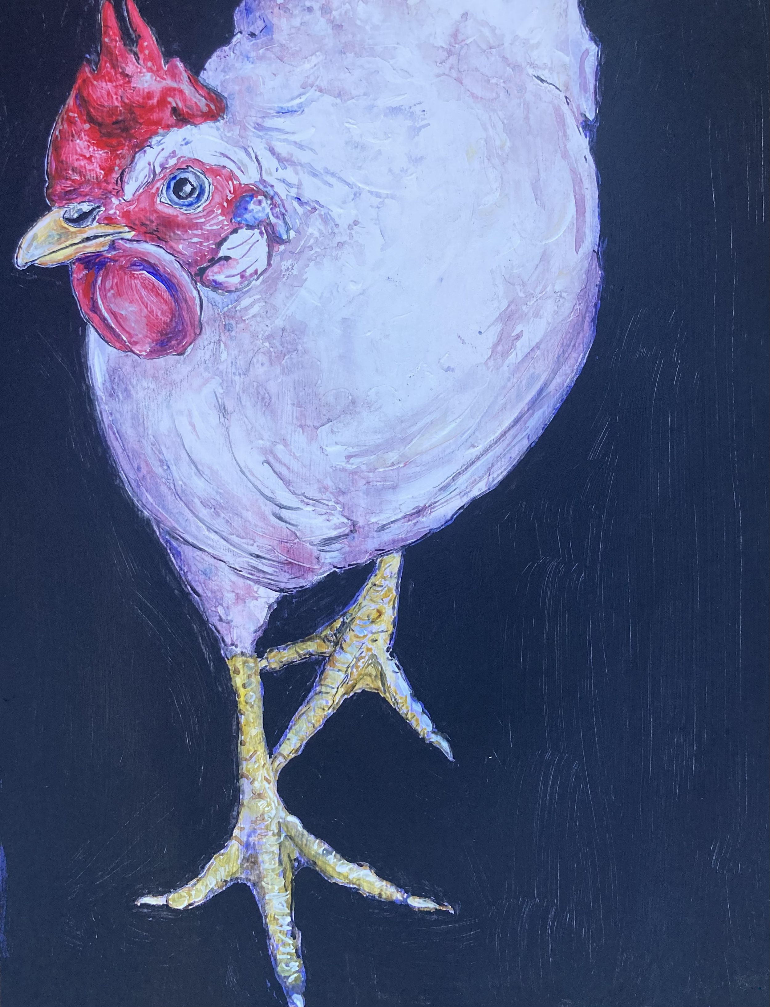 White leghorn hen in bule/violet hues with prominent yellow feet and red comb, against dramatic black background