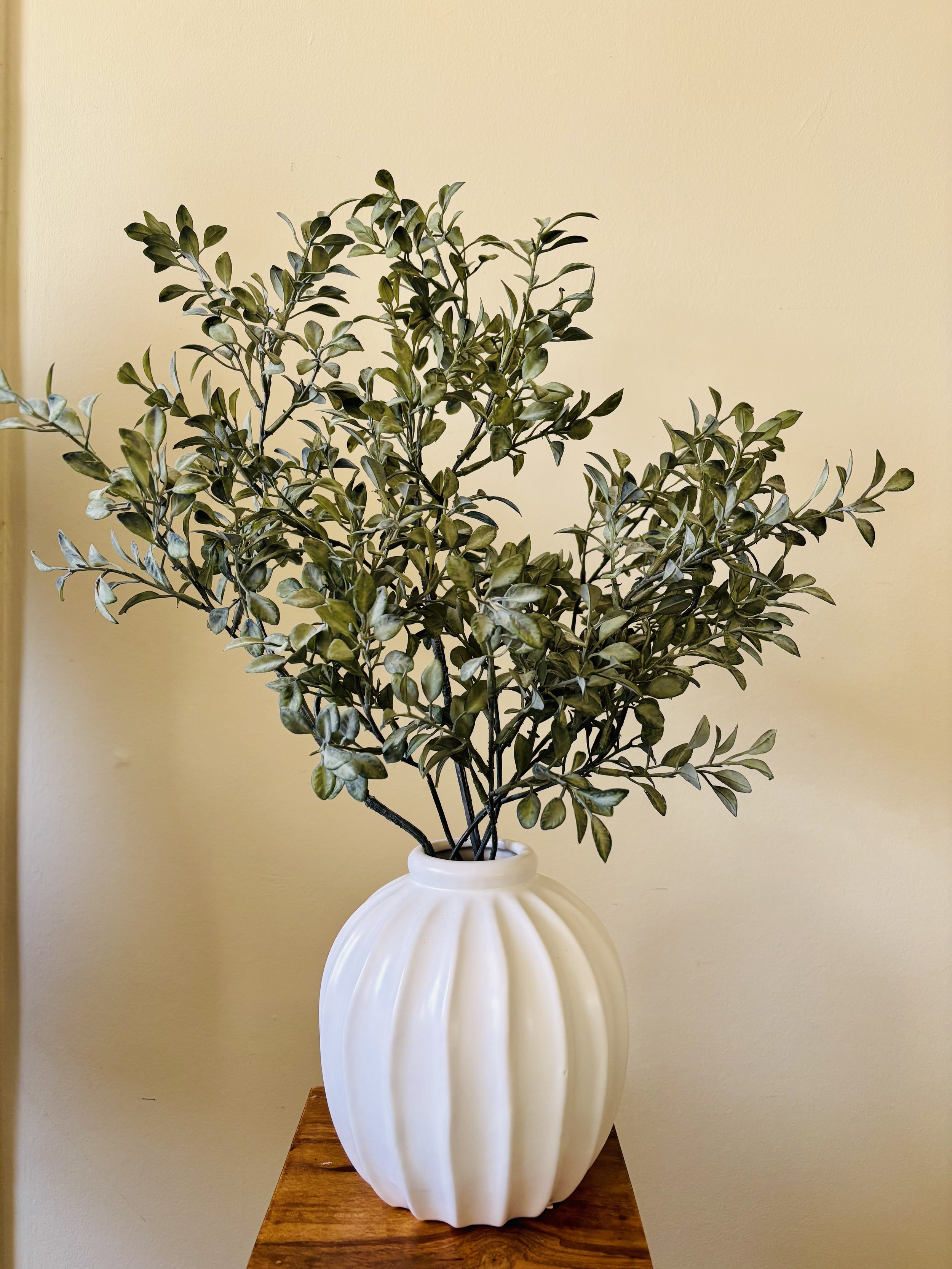 Plant 6