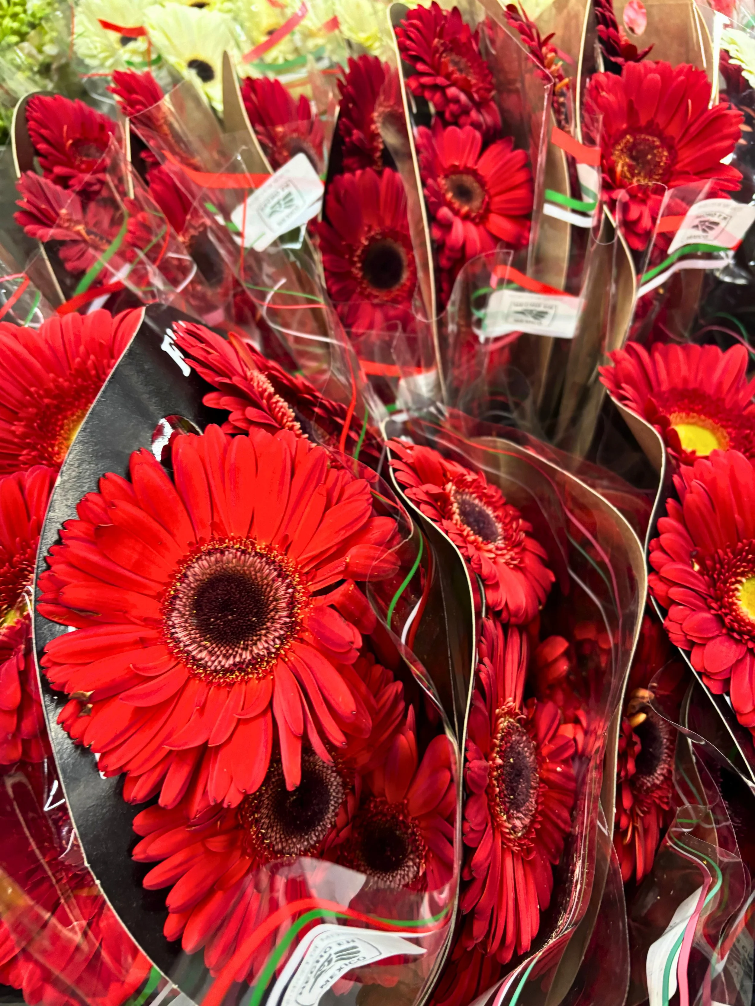 Gerbera 1- Cleared Digital Artwork