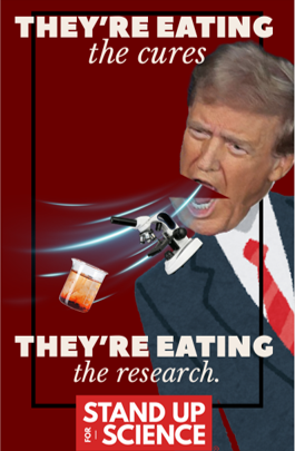 Flyer copy reads They're Eating the cures They're eating the research with Stand Up for Science logo in redbox with white type at bottom.