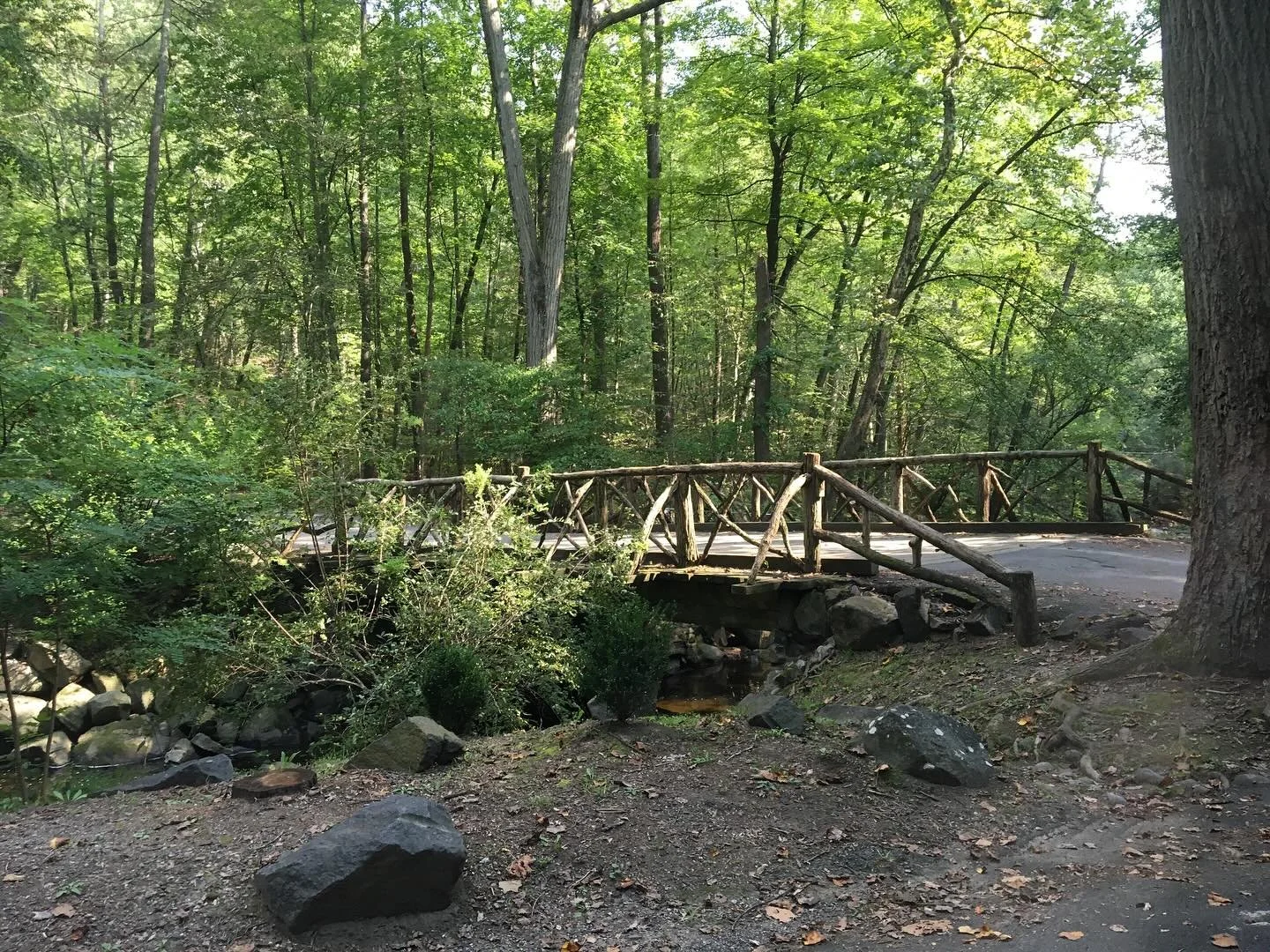 The graveyard of Sleepy Hollow is one of the most impressive graveyard I have ever seen. It sprawls for what seems like miles through rolling hills and dense forests. Death dates rang from the 1600s to modern day and include some famous names such as