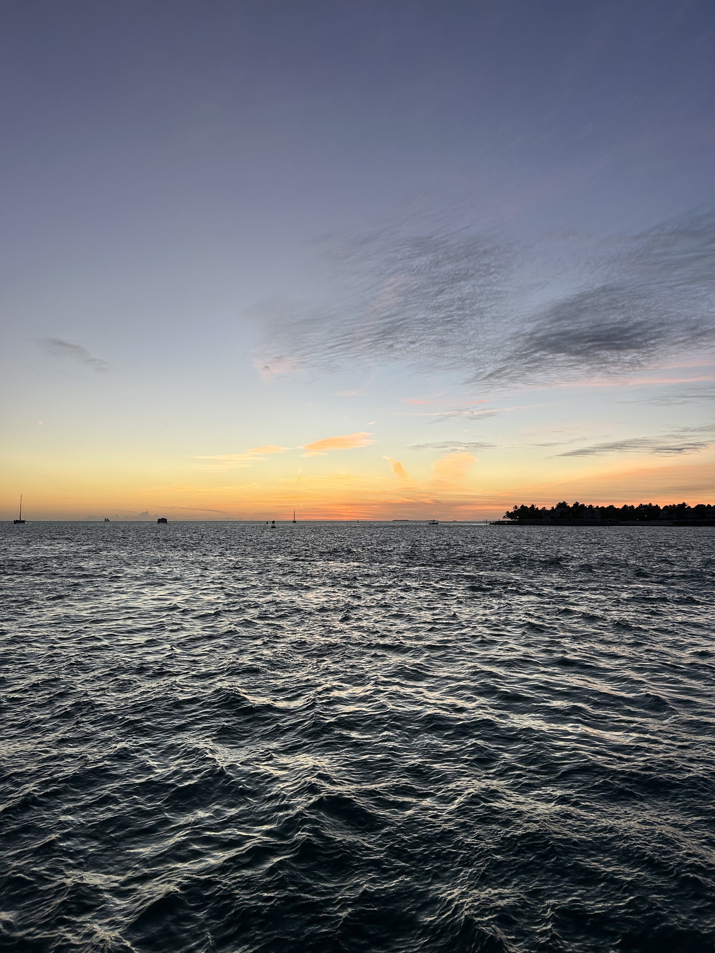 IMG_6864.jpg