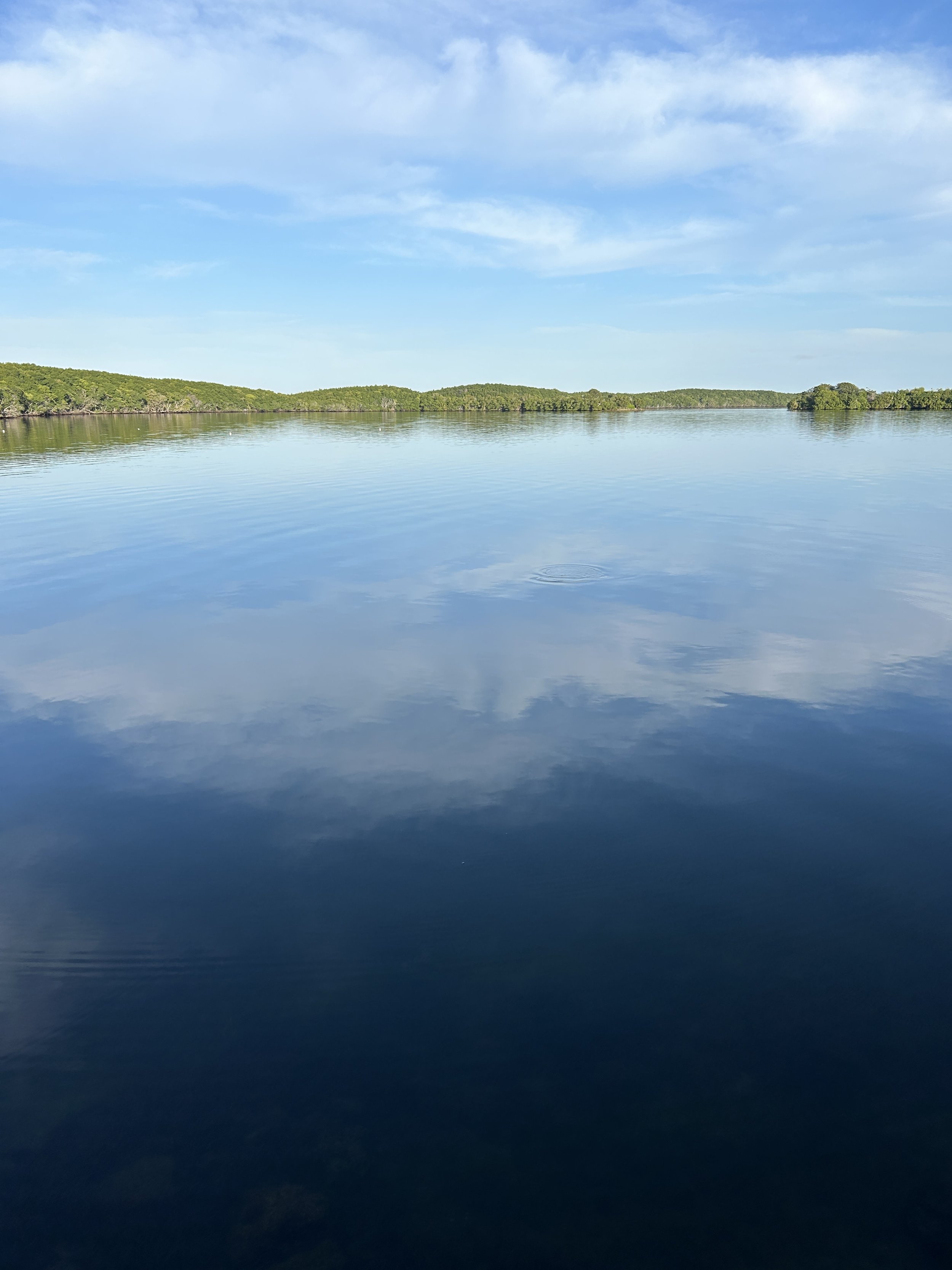 IMG_6755.jpg