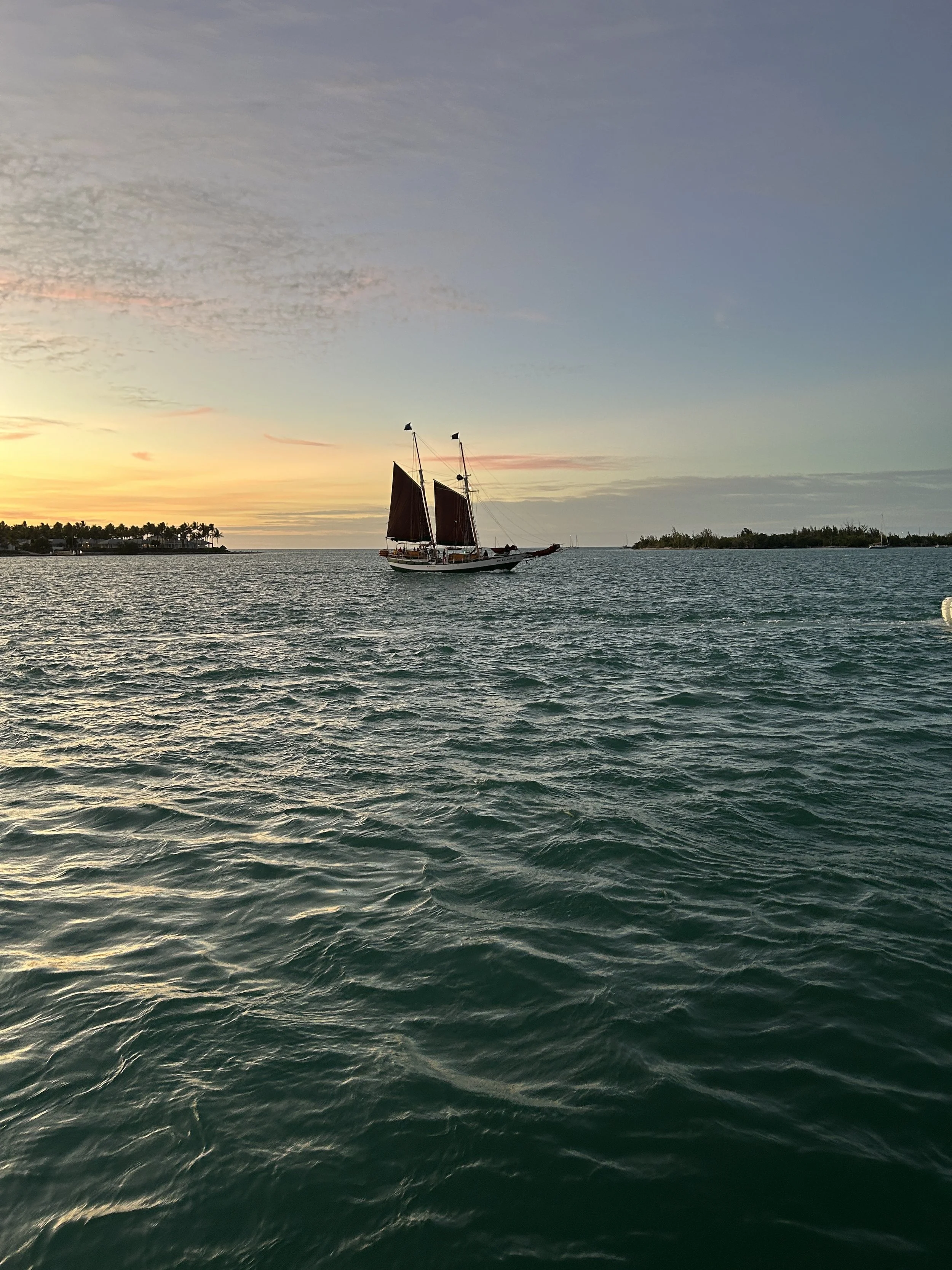 IMG_6866.jpg
