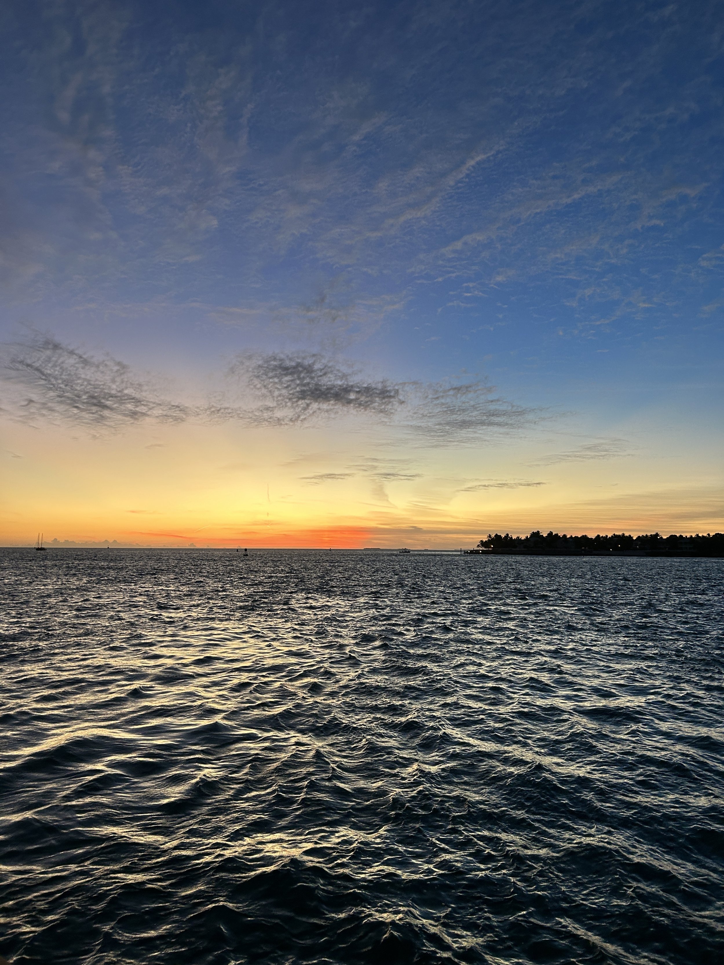IMG_6868.jpg