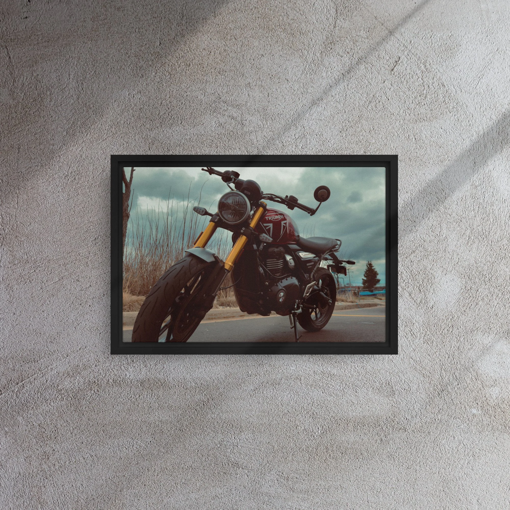 framed-canvas-(in)-black-12x18-front-6815067fae34f.jpg