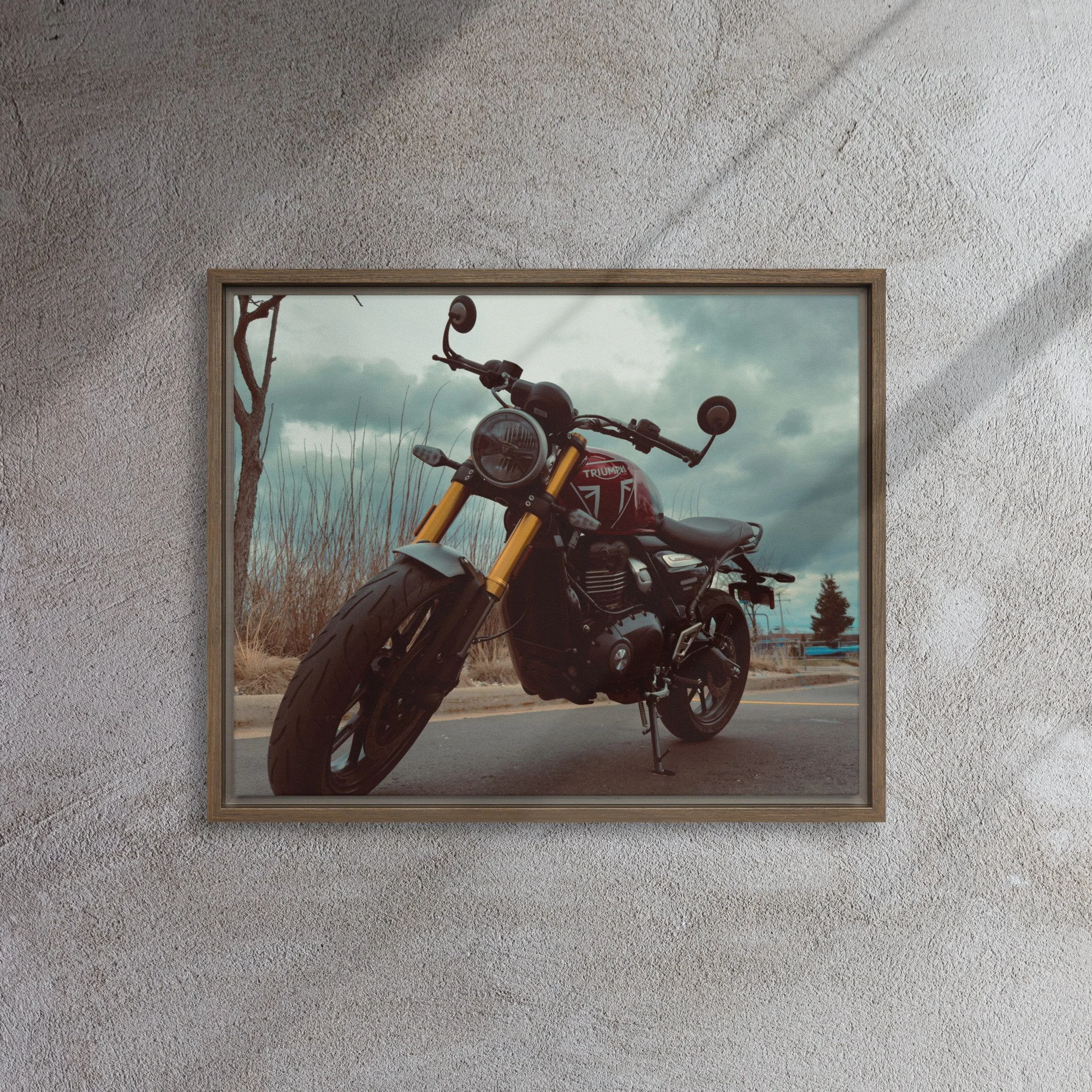 framed-canvas-(in)-brown-16x20-front-6815067faeb69.jpg